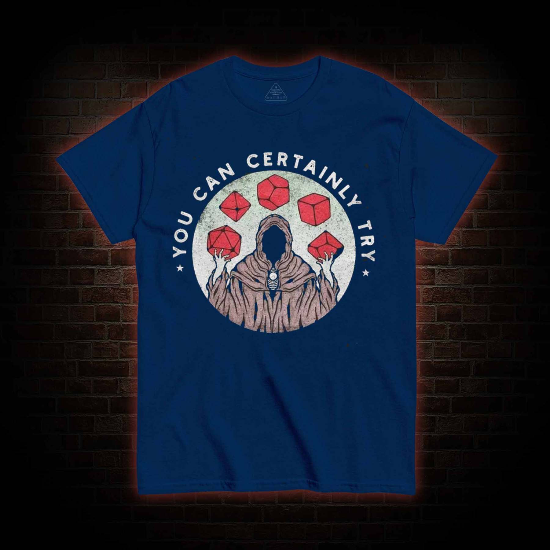 You Can Certainly Try T-shirt