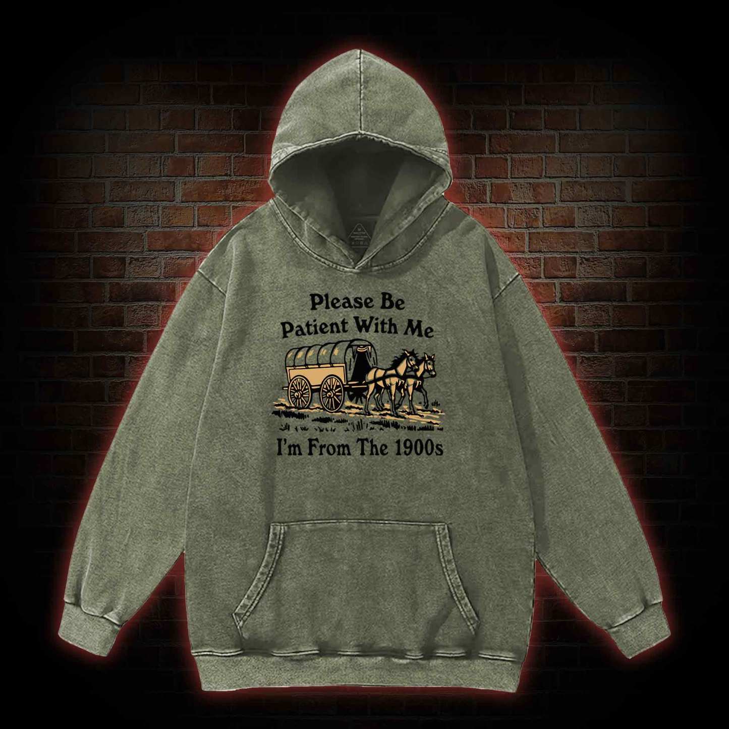Please Be Patient With Me Washed Hoodie