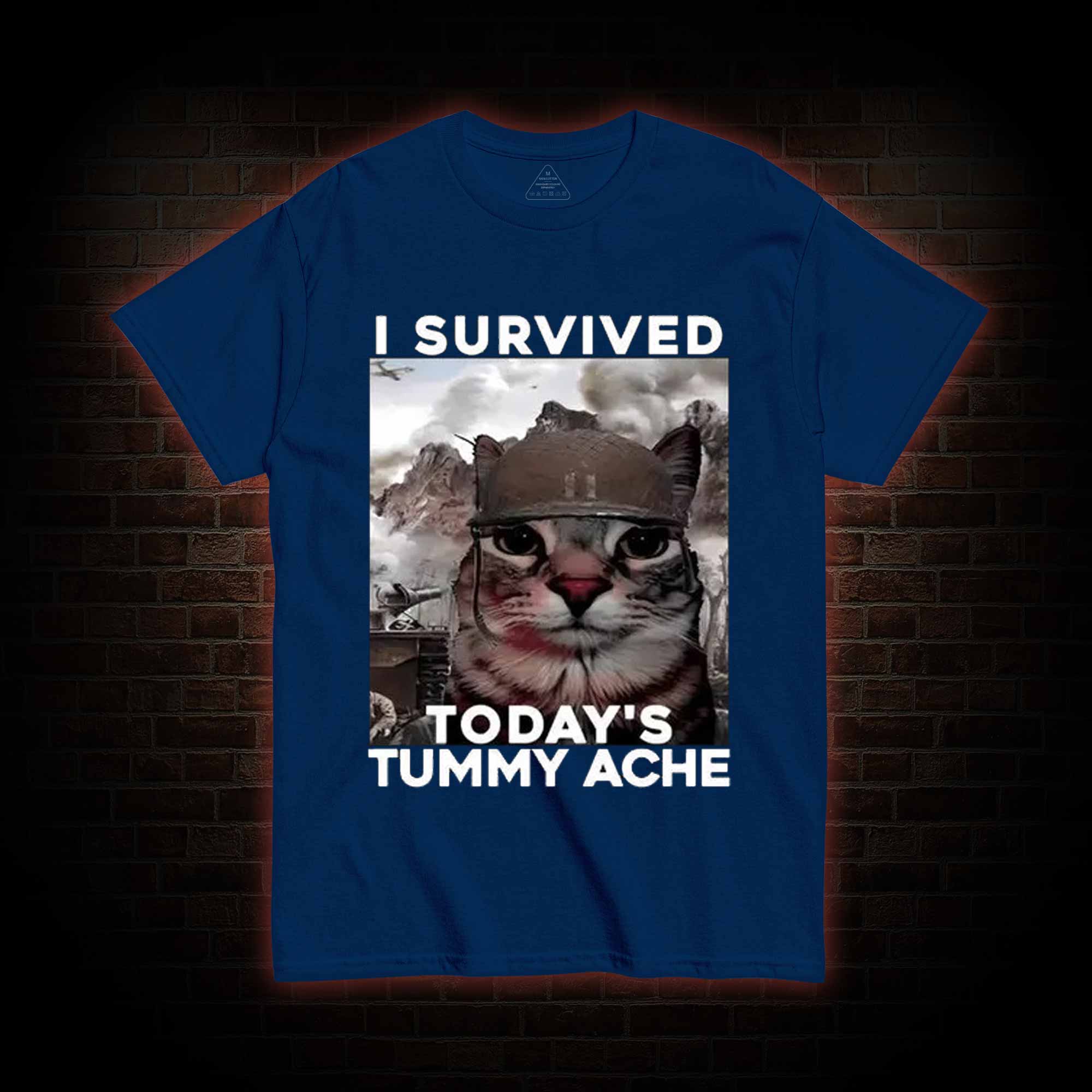 I Survived Today's Tummy Ache T-Shirt