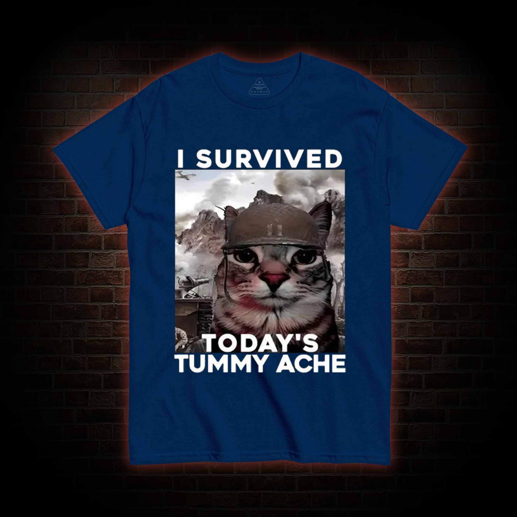 I Survived Today's Tummy Ache T-Shirt