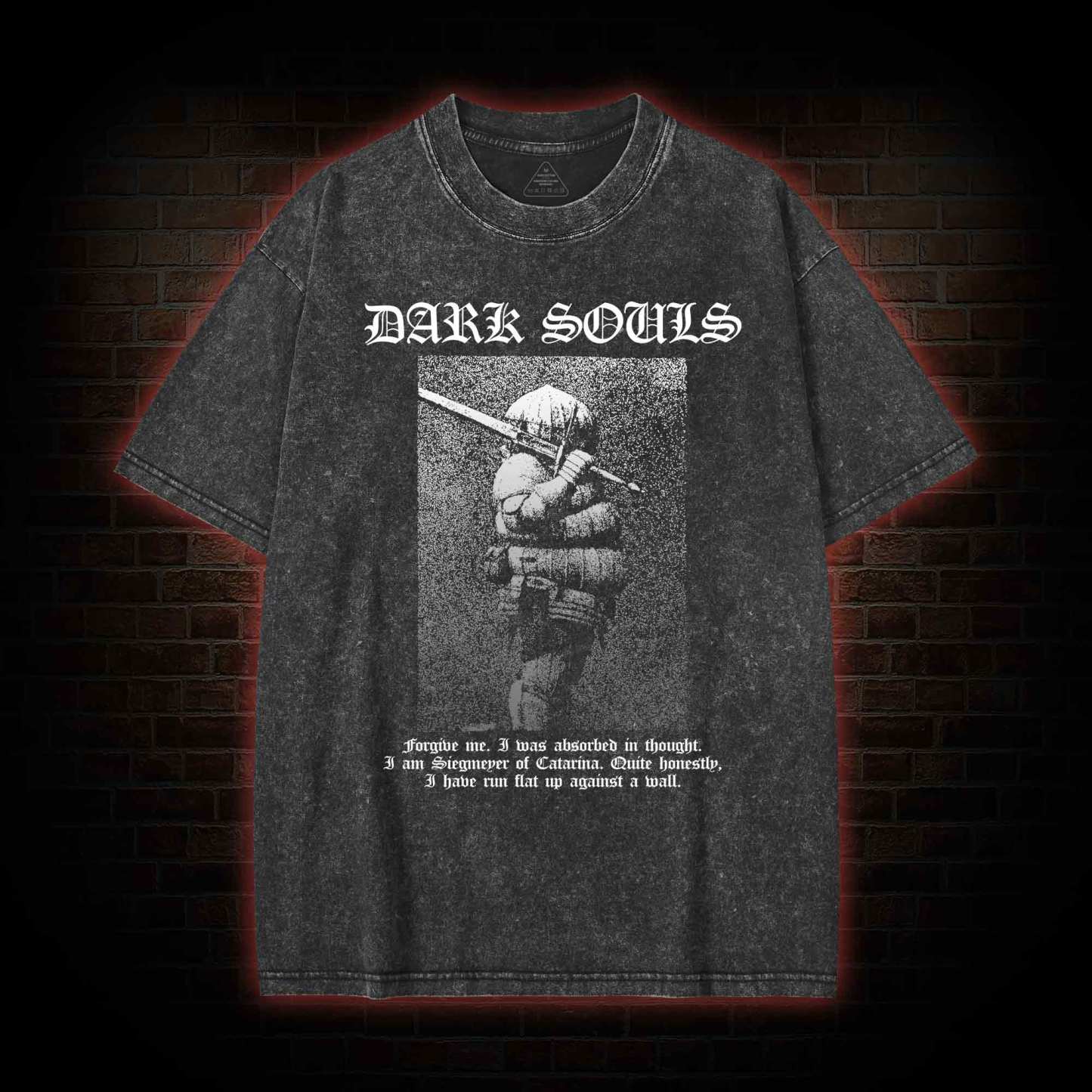 Siegmeyer of Catarina Washed T-shirt