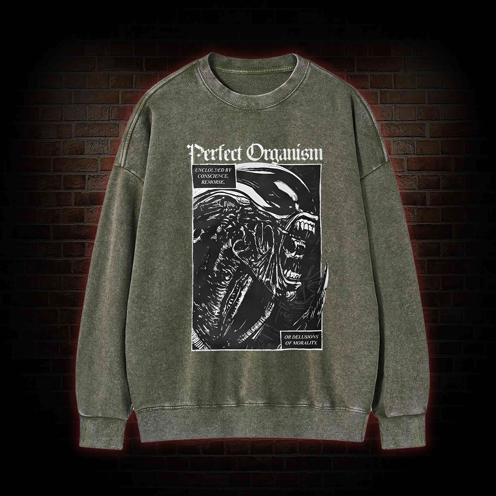 Alien Perfect Organism Washed Sweatshirt