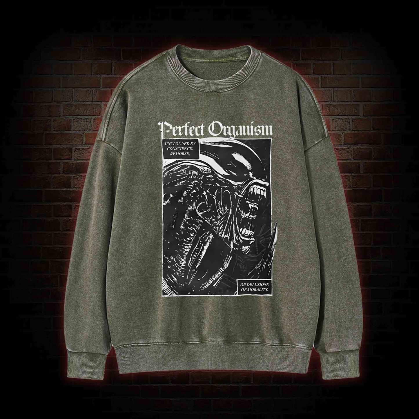 Alien Perfect Organism Washed Sweatshirt