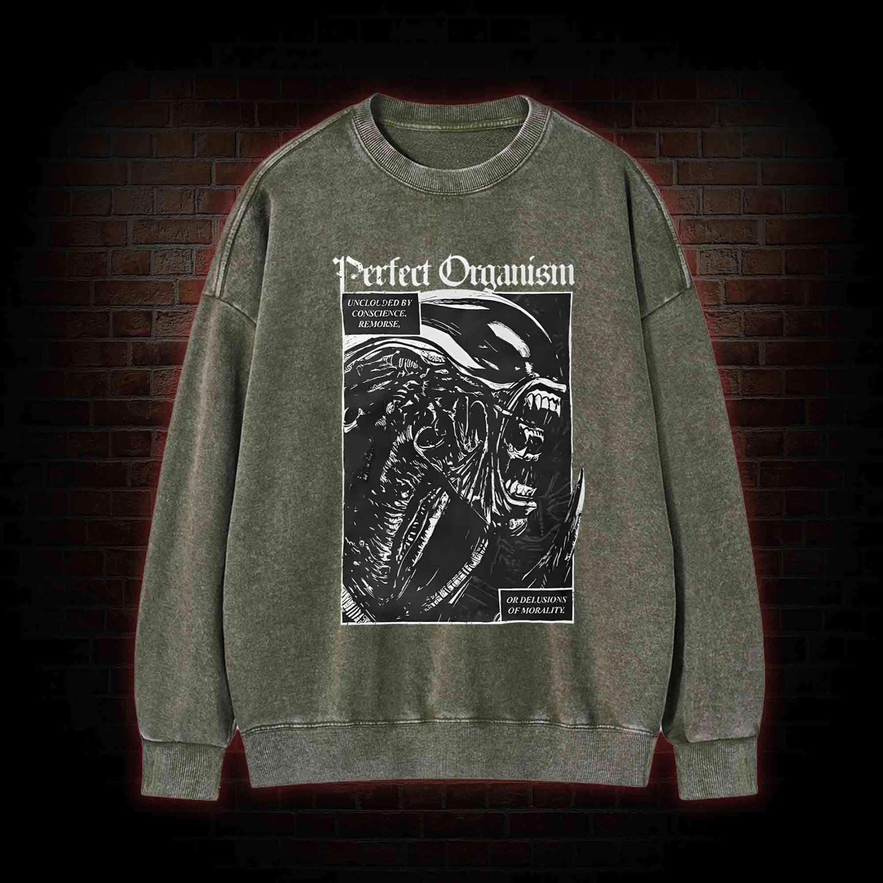 Alien Perfect Organism Washed Sweatshirt