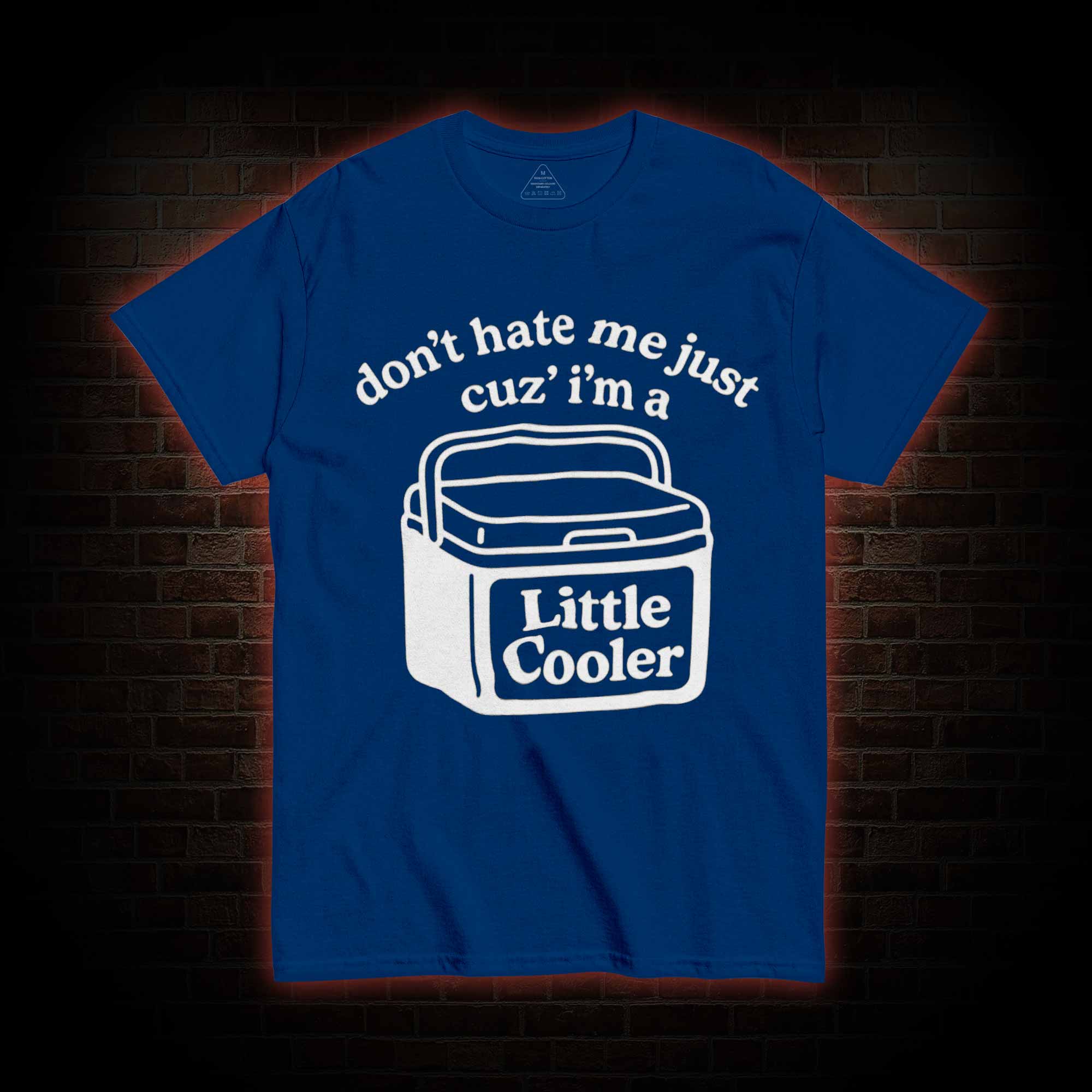 Don't Hate Me Cuz I'm a Little Cooler T-shirt