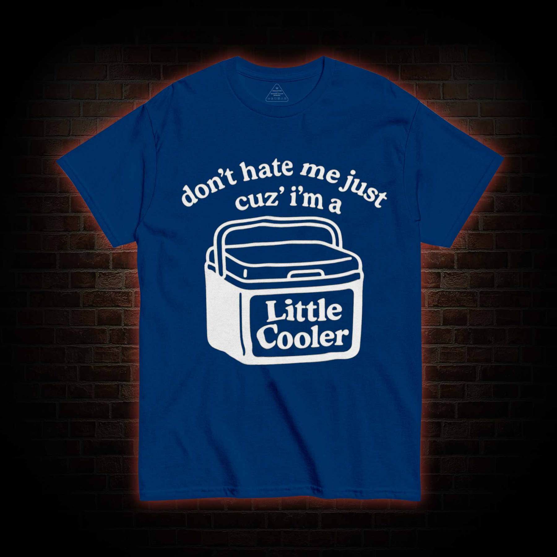 Don't Hate Me Cuz I'm a Little Cooler T-shirt