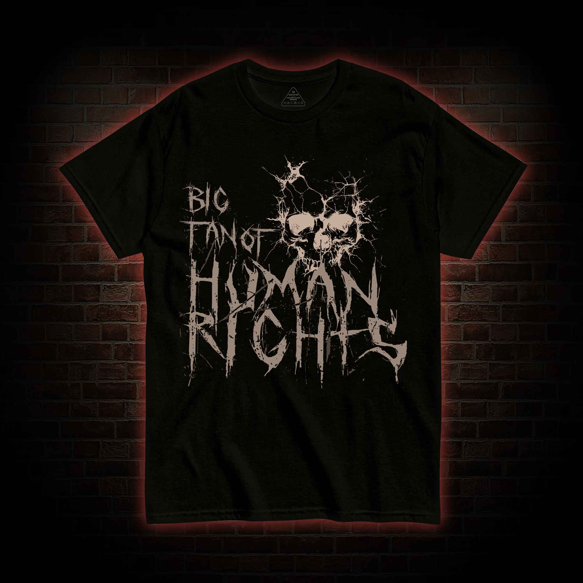 Big Fan of Human Rights T-shirt