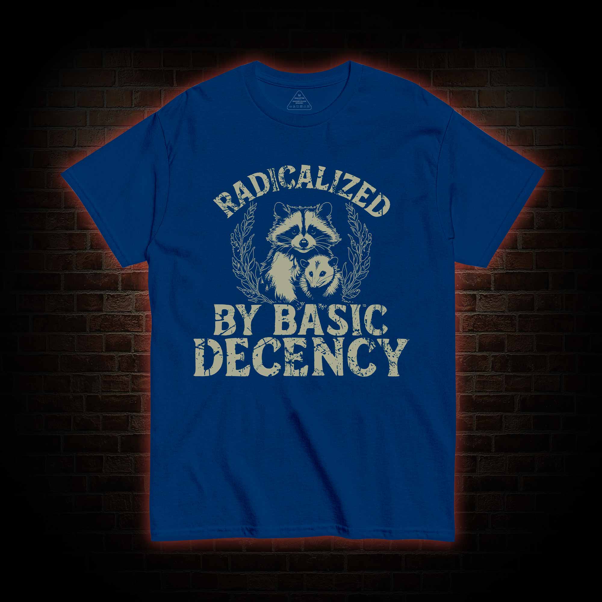 Radicalized by Basic Decency Raccoon T-shirt