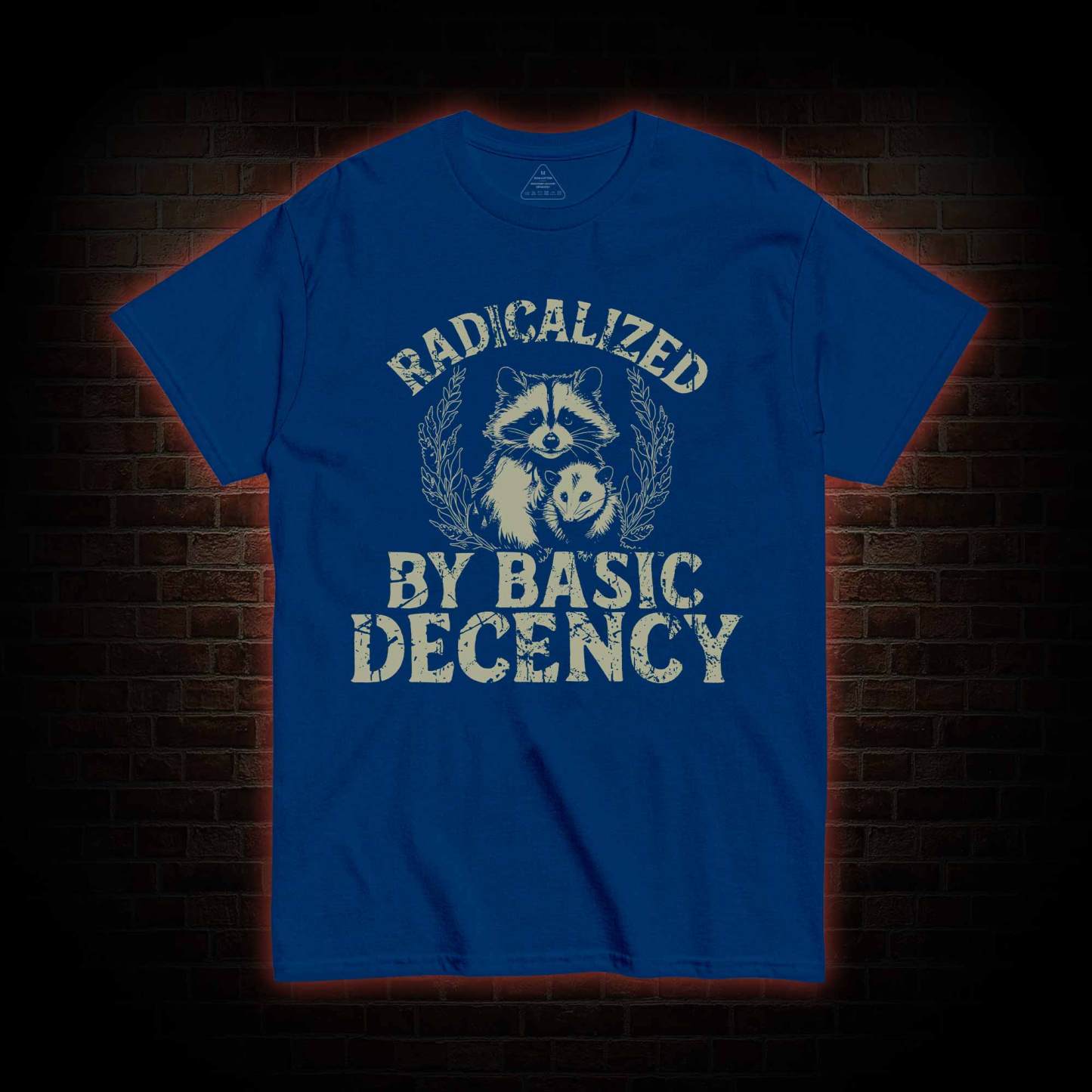 Radicalized by Basic Decency Raccoon T-shirt