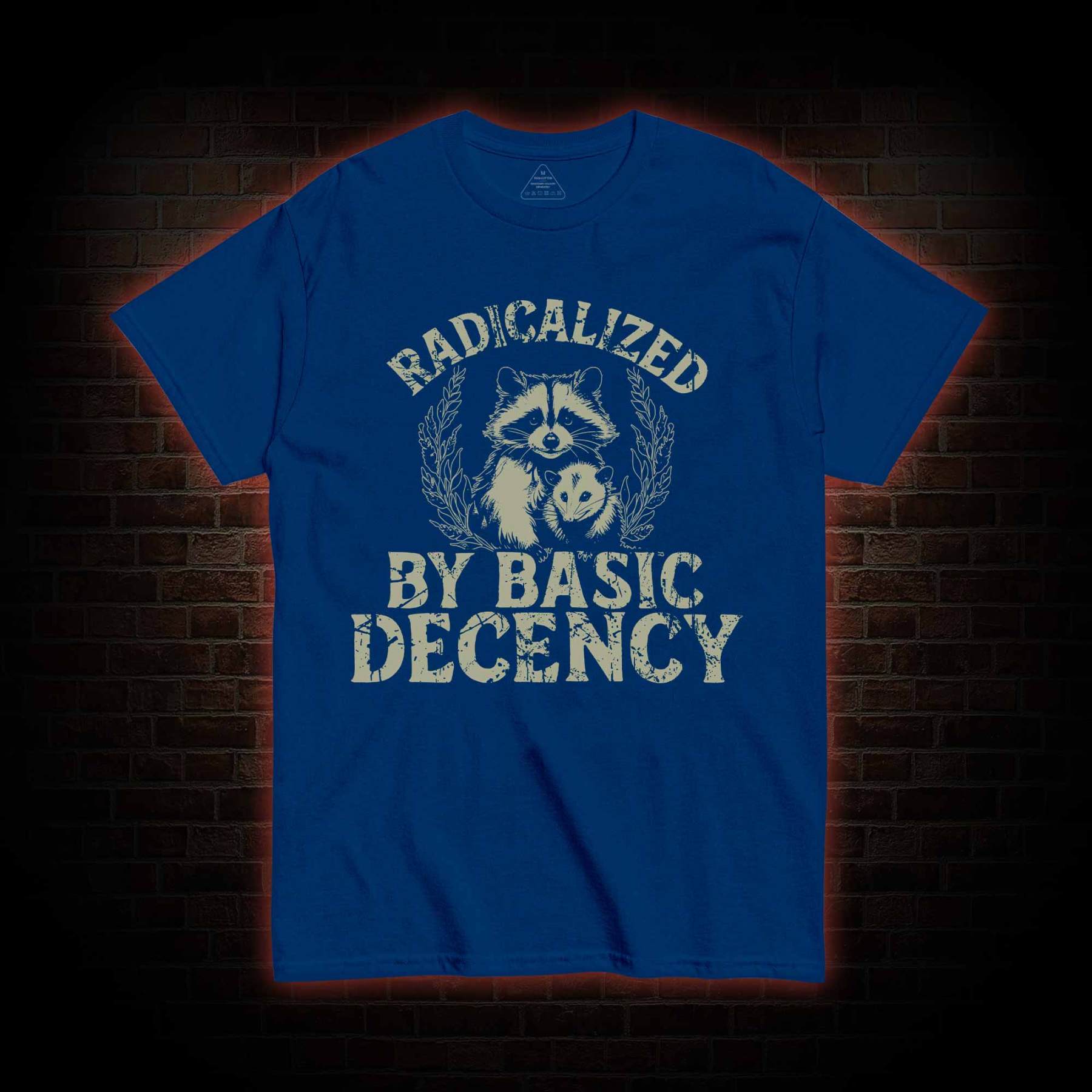Radicalized by Basic Decency Raccoon T-shirt
