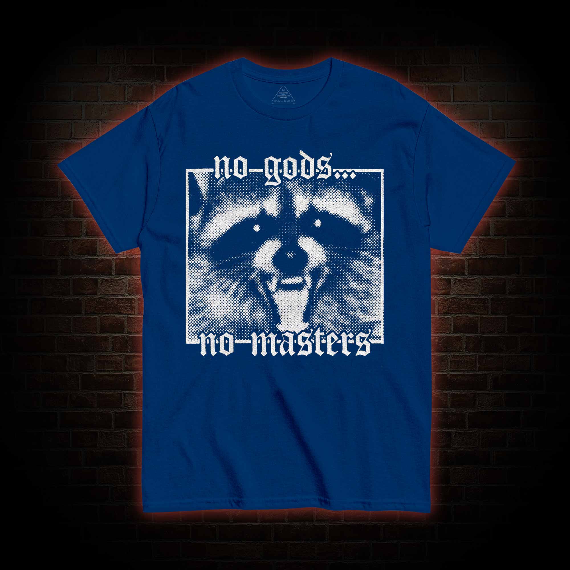 No Gods No Masters Raccoon T-shirt