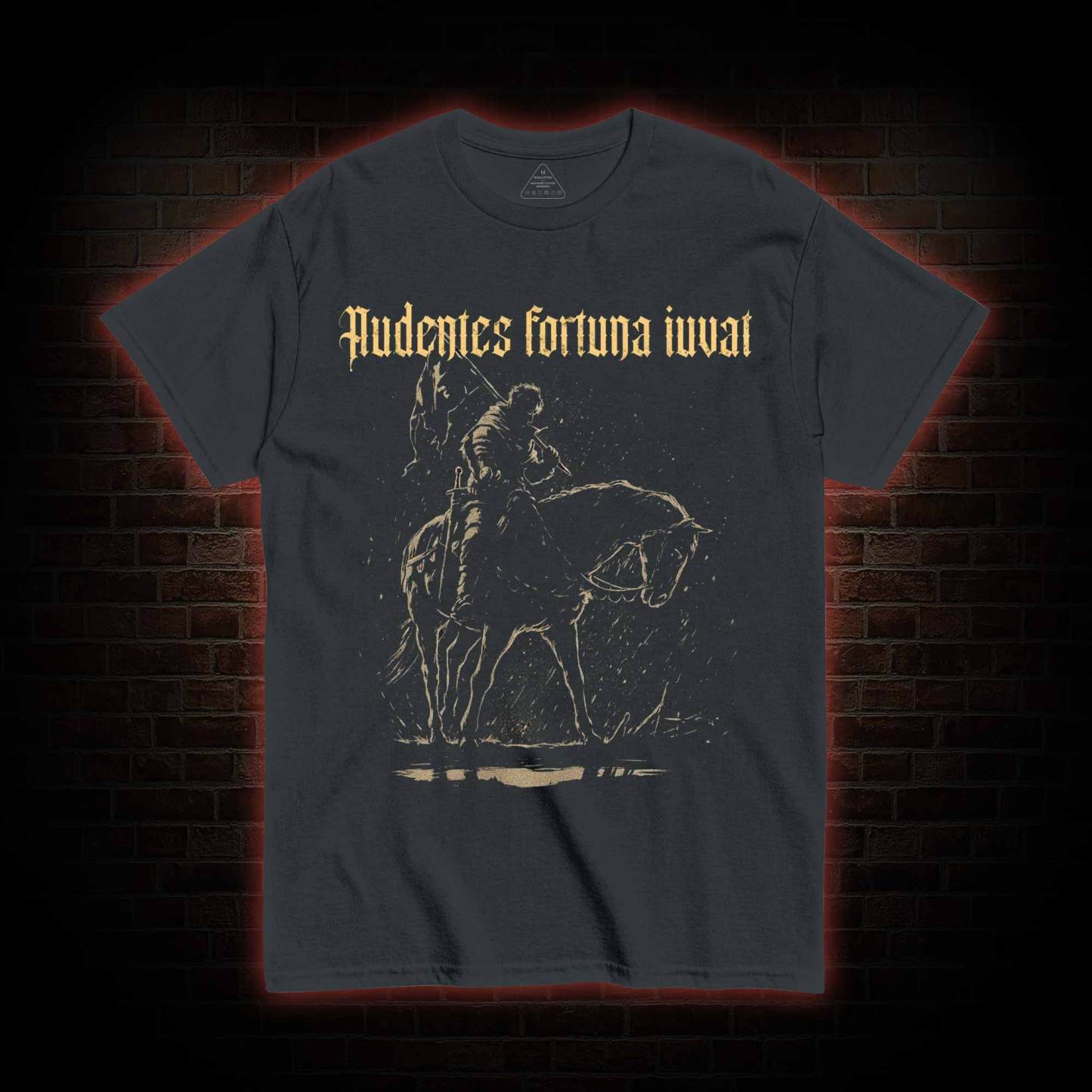 Audentes Fortuna Iuvat T-shirt
