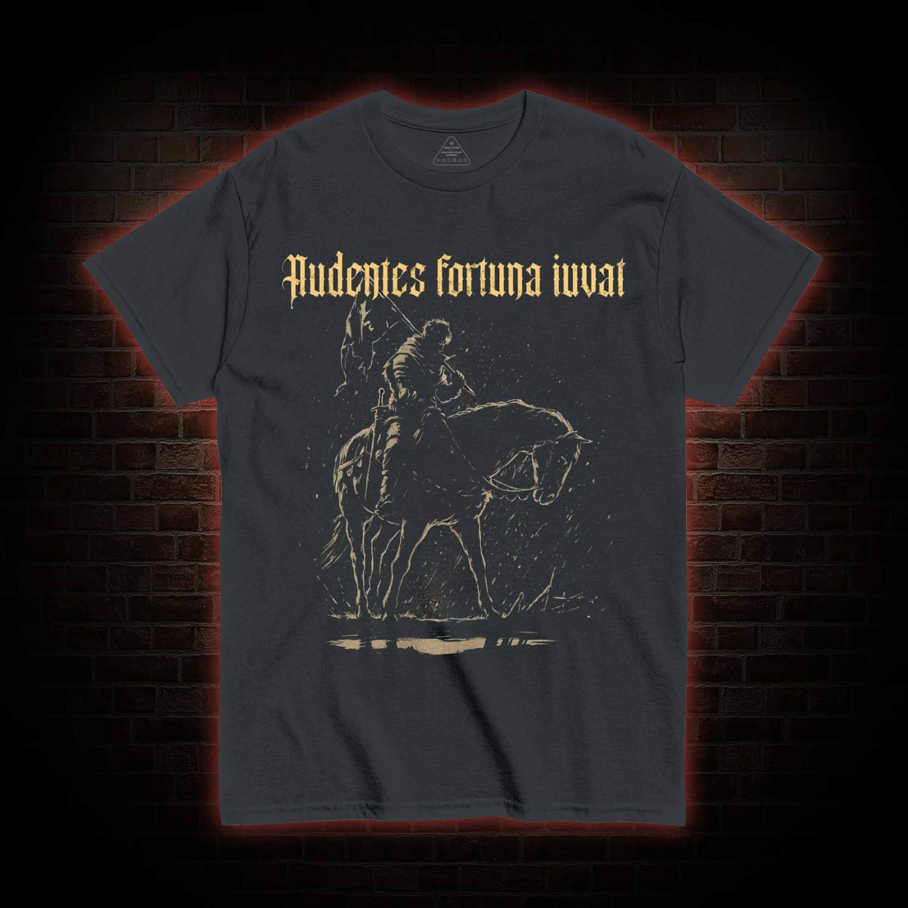 Audentes Fortuna Iuvat T-shirt