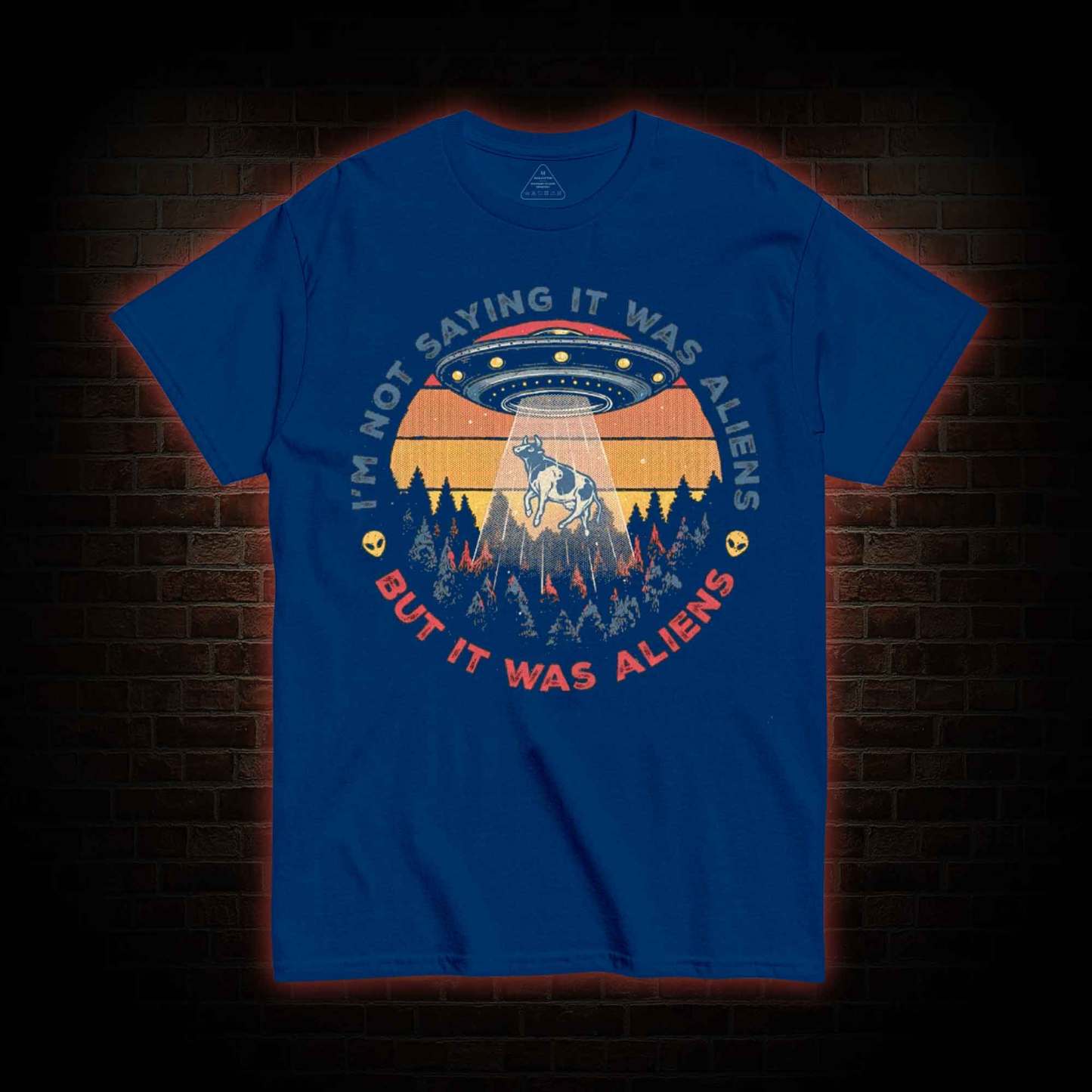 I'm Not Saying It Was Aliens UFO T-shirt