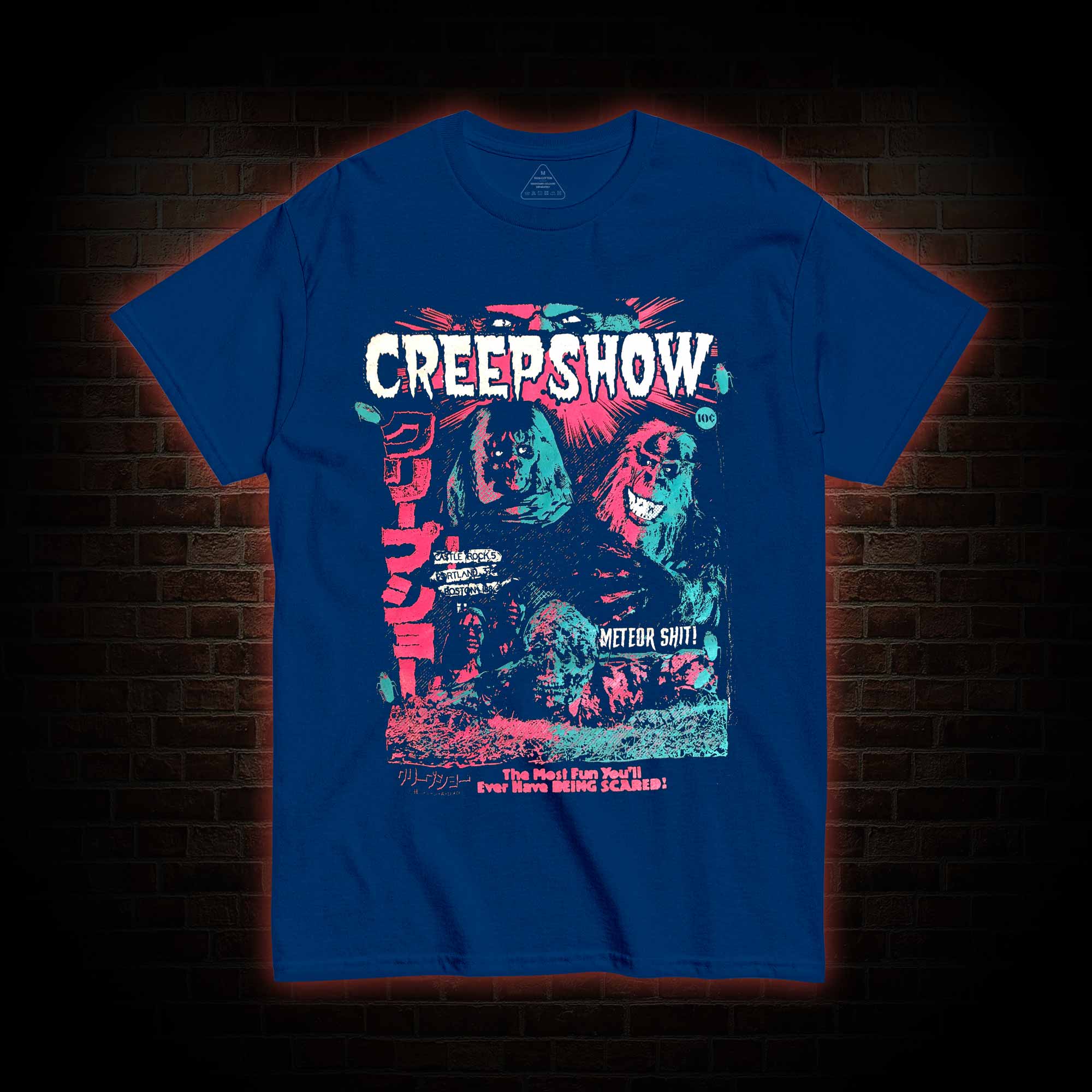 The Most Fun You'll ever have being Scared T-shirt