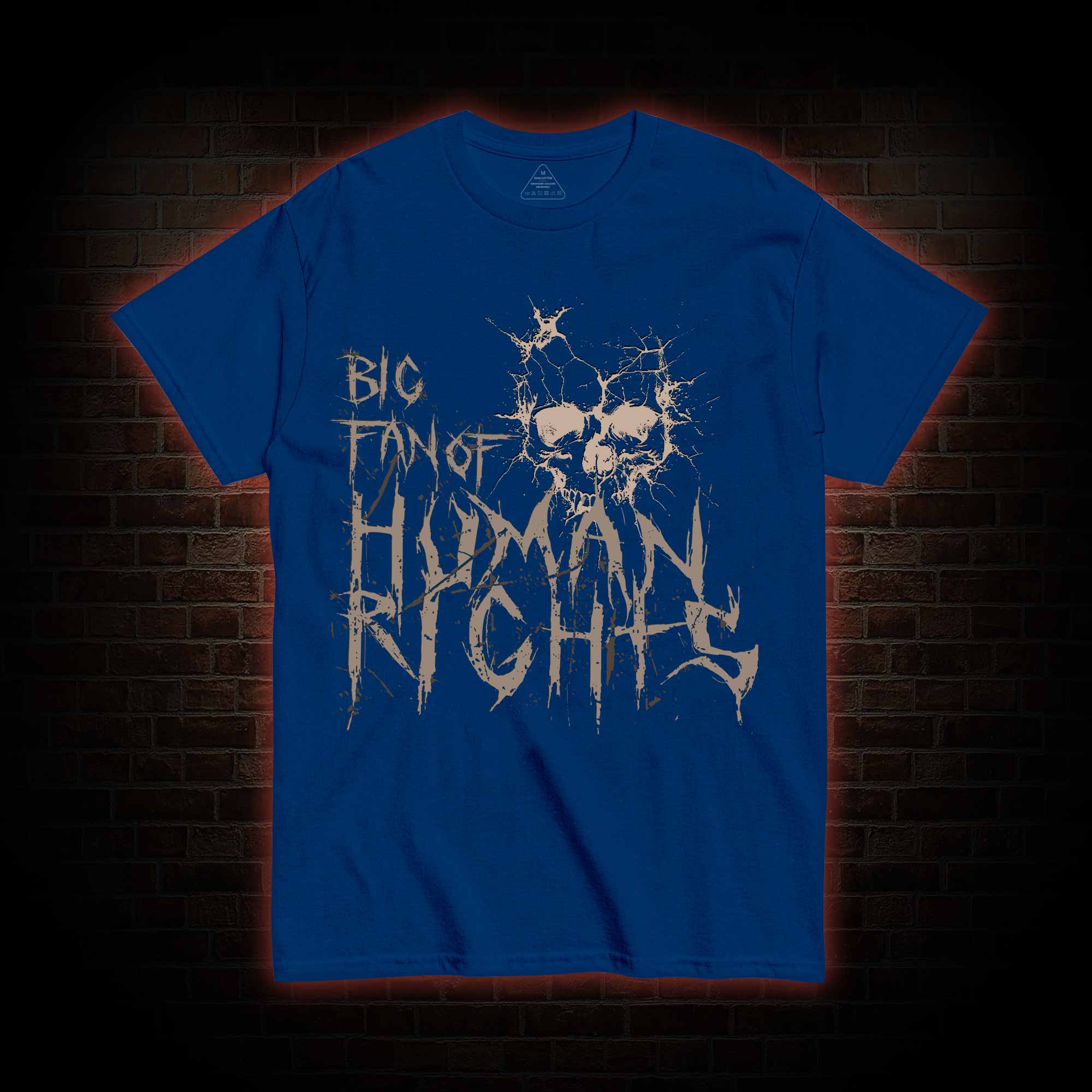 Big Fan of Human Rights T-shirt