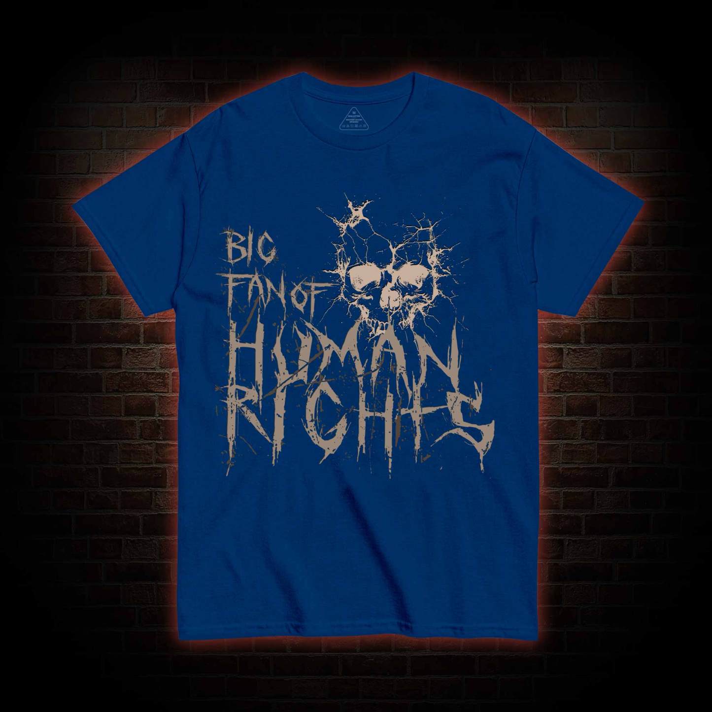 Big Fan of Human Rights T-shirt