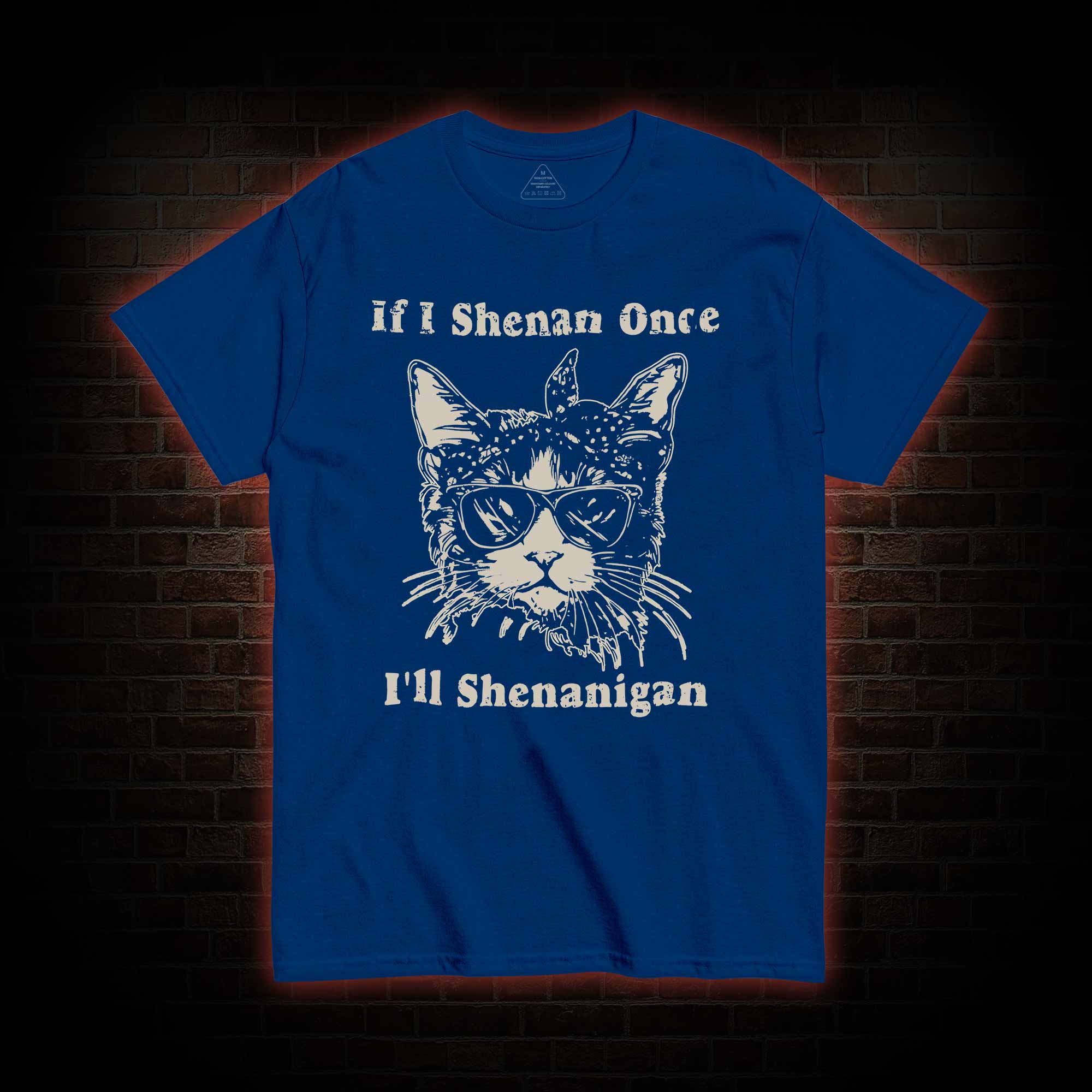 If I Shenan Once I'll Shenanigan T-shirt