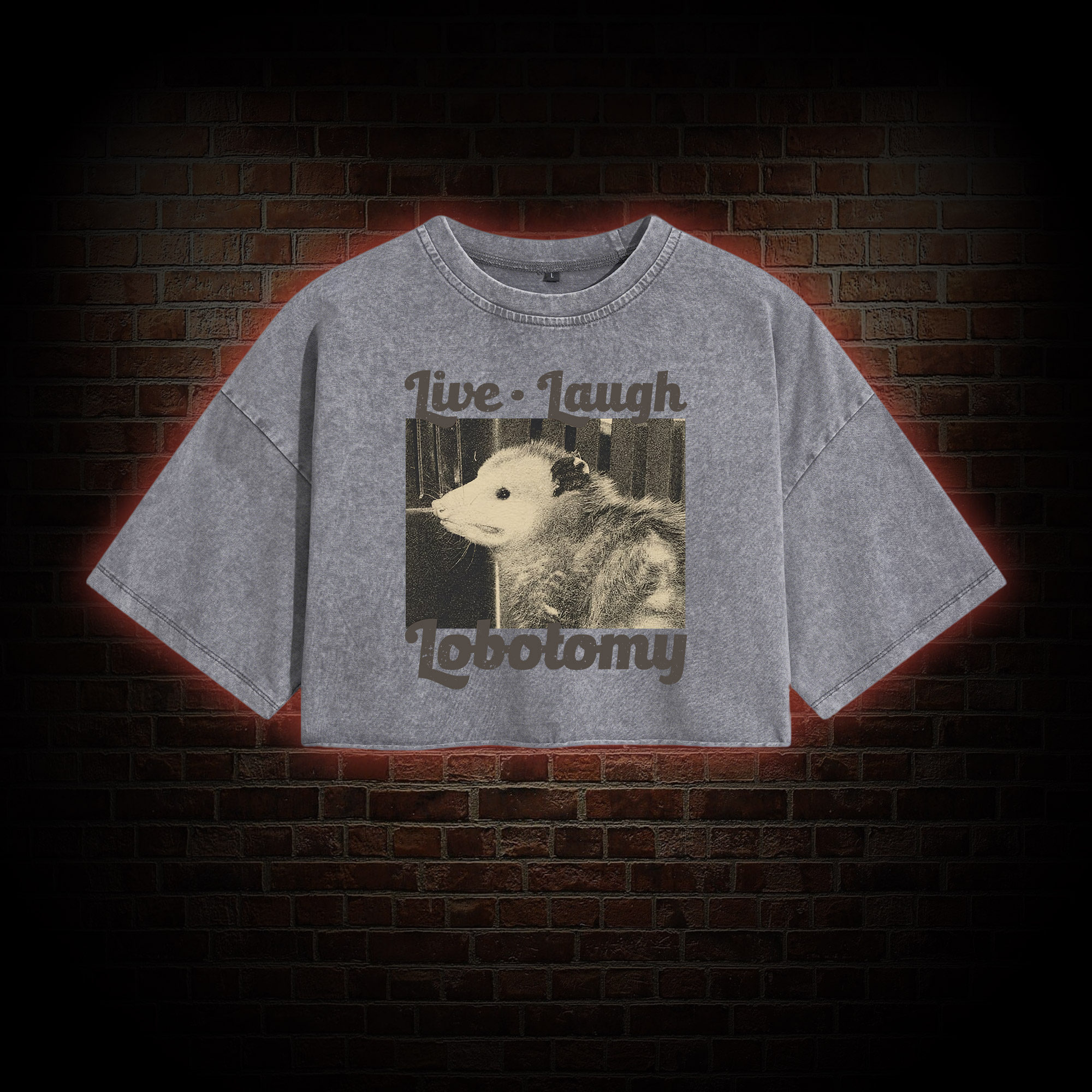 Live Laugh Lobotomy Washed Cropped T-shirts