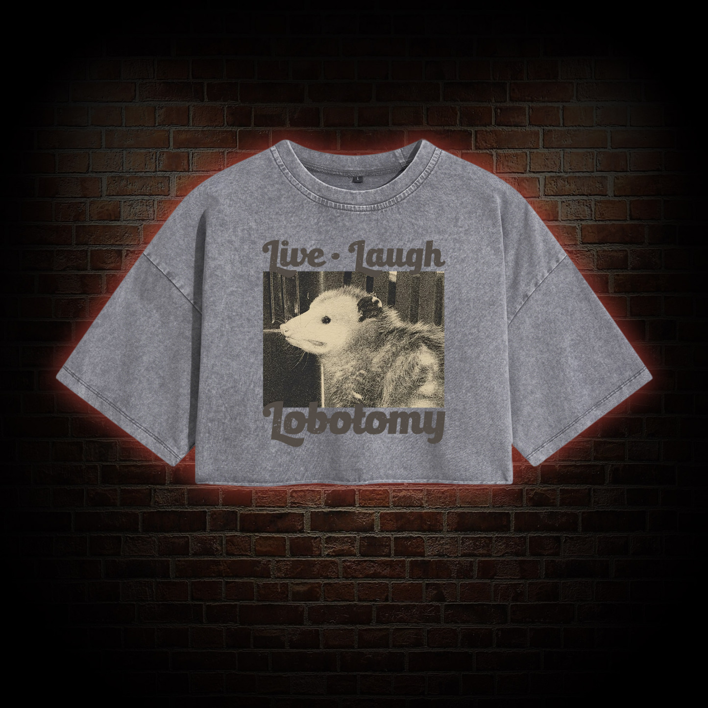 Live Laugh Lobotomy Washed Cropped T-shirts