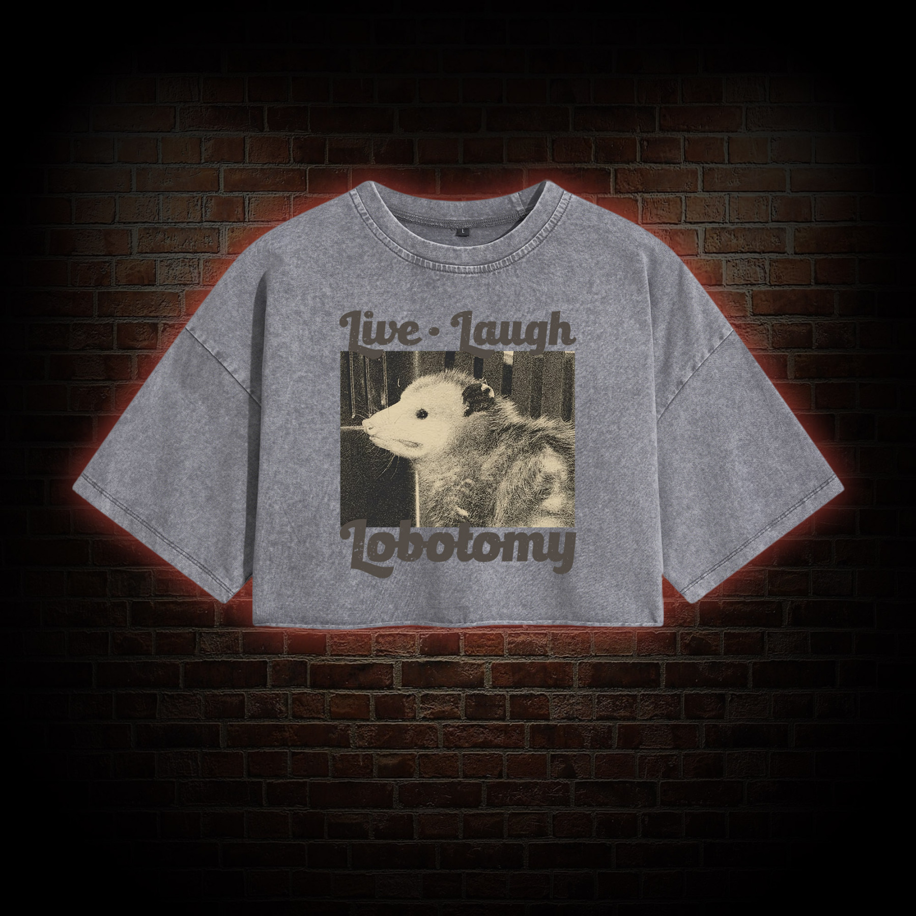 Live Laugh Lobotomy Washed Cropped T-shirts