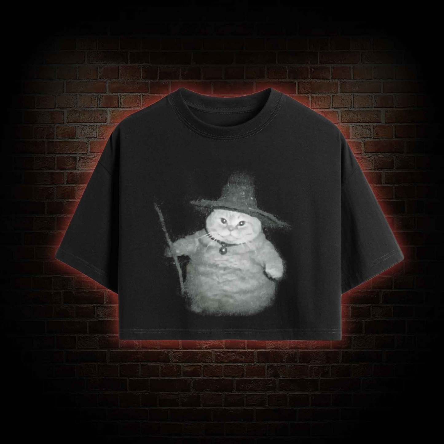 Wizard Cat Crop Top