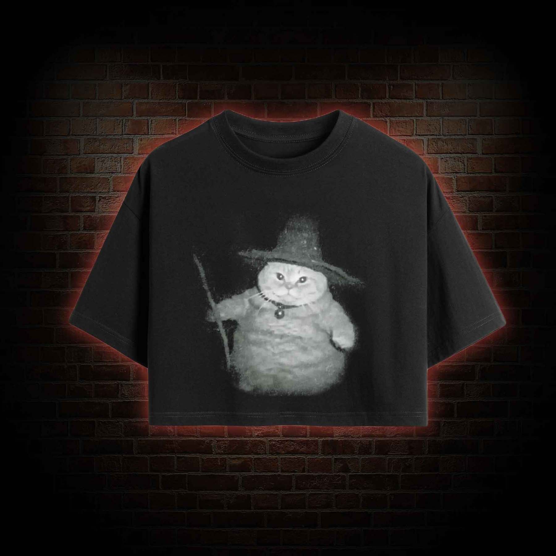 Wizard Cat Crop Top