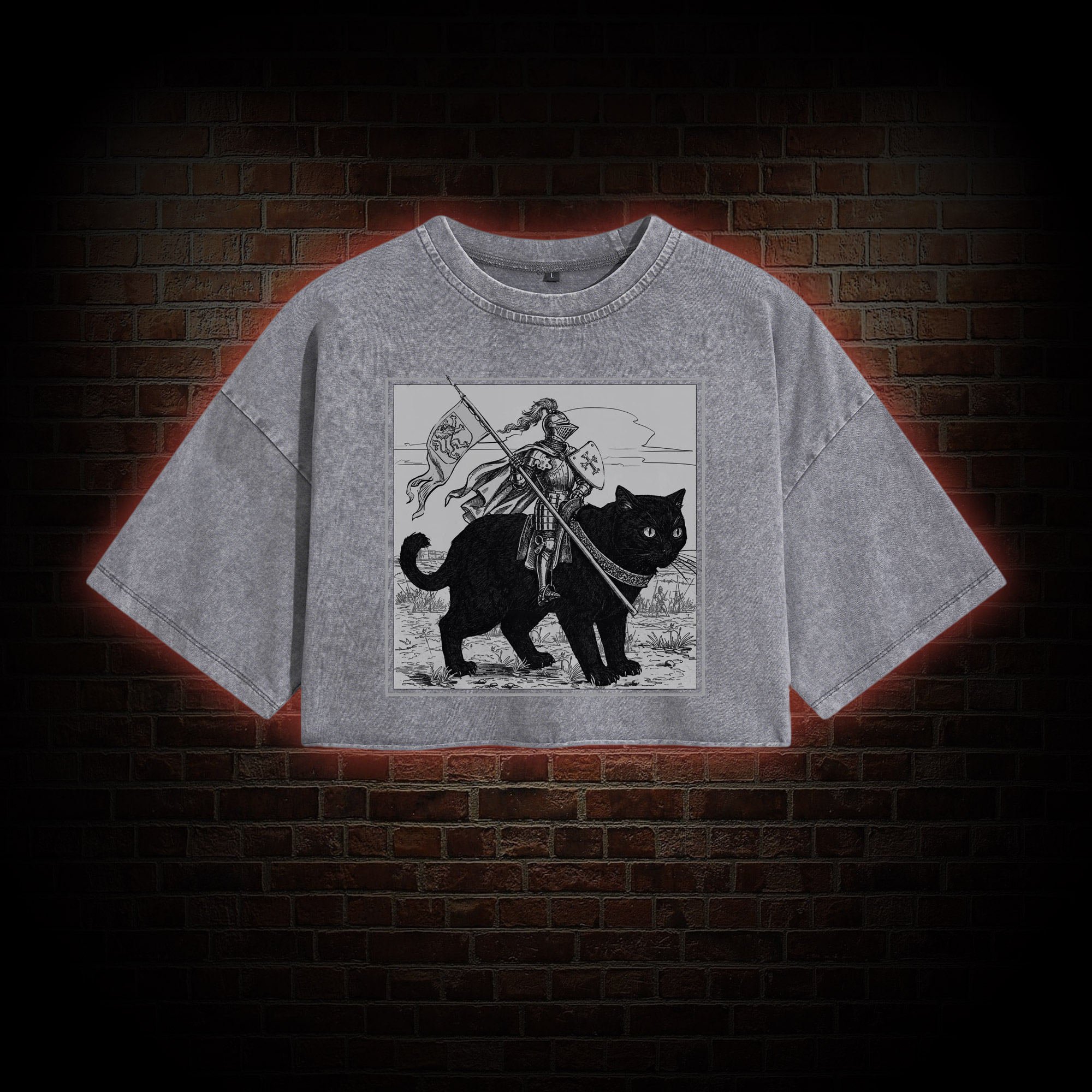 Medieval Knight Washed Cropped T-shirts