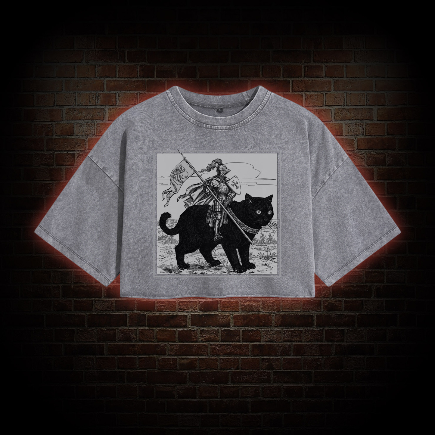 Medieval Knight Washed Cropped T-shirts
