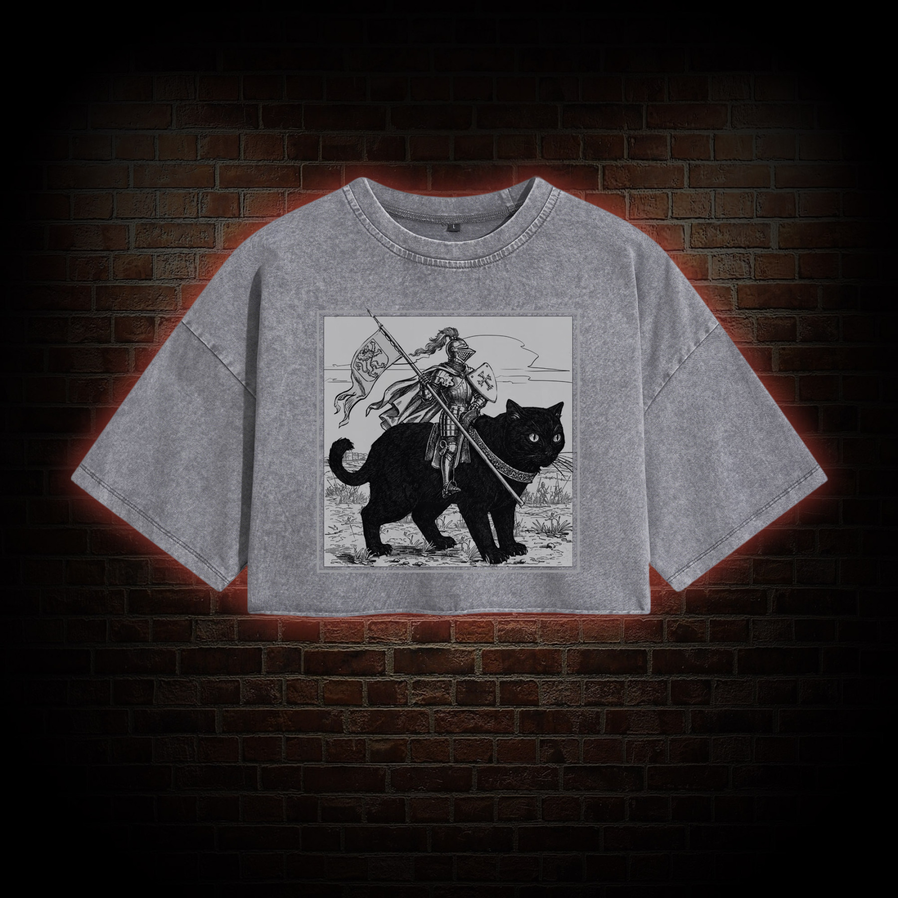 Medieval Knight Washed Cropped T-shirts