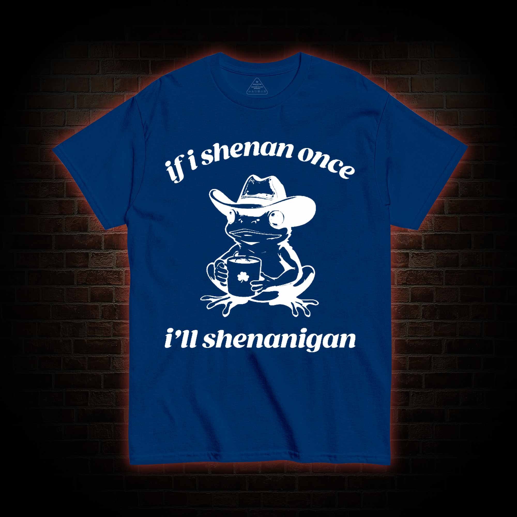 If I Shenan Once I'll Shenanigan T-shirt