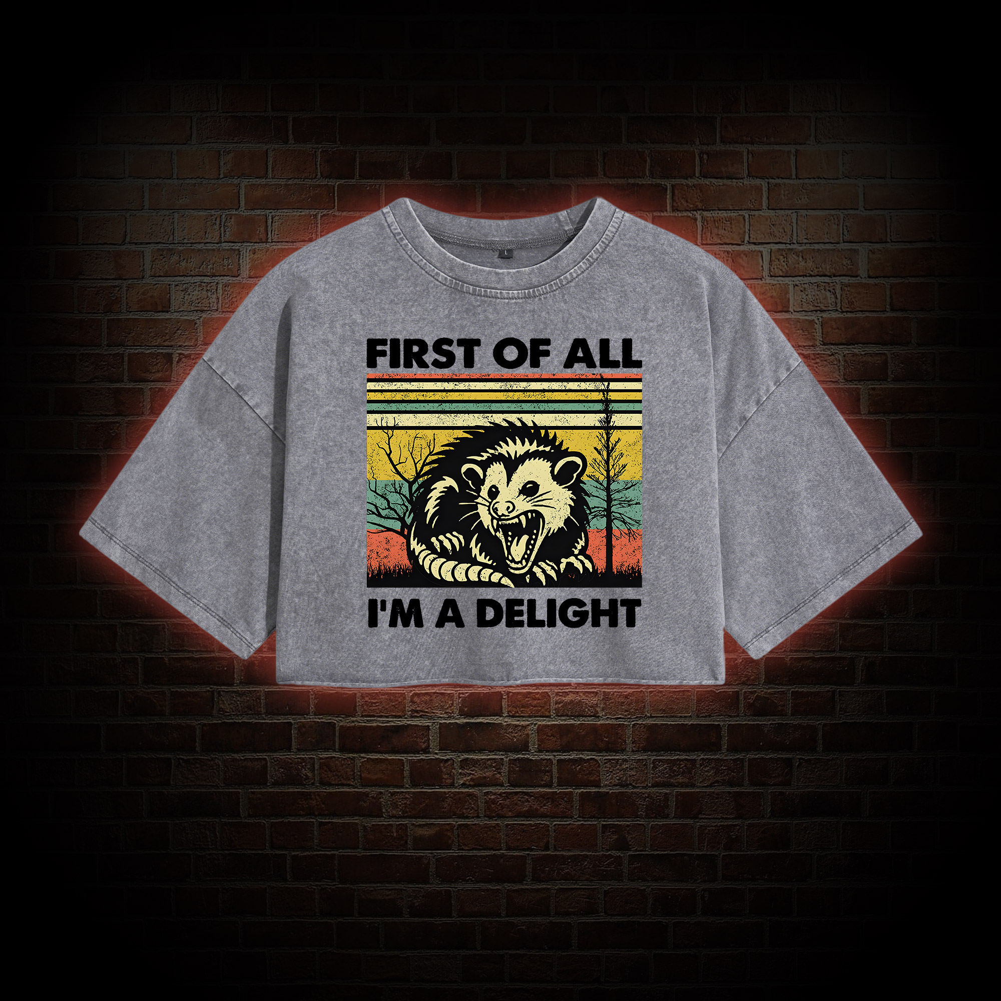 I'm A Delight Washed Cropped T-shirts