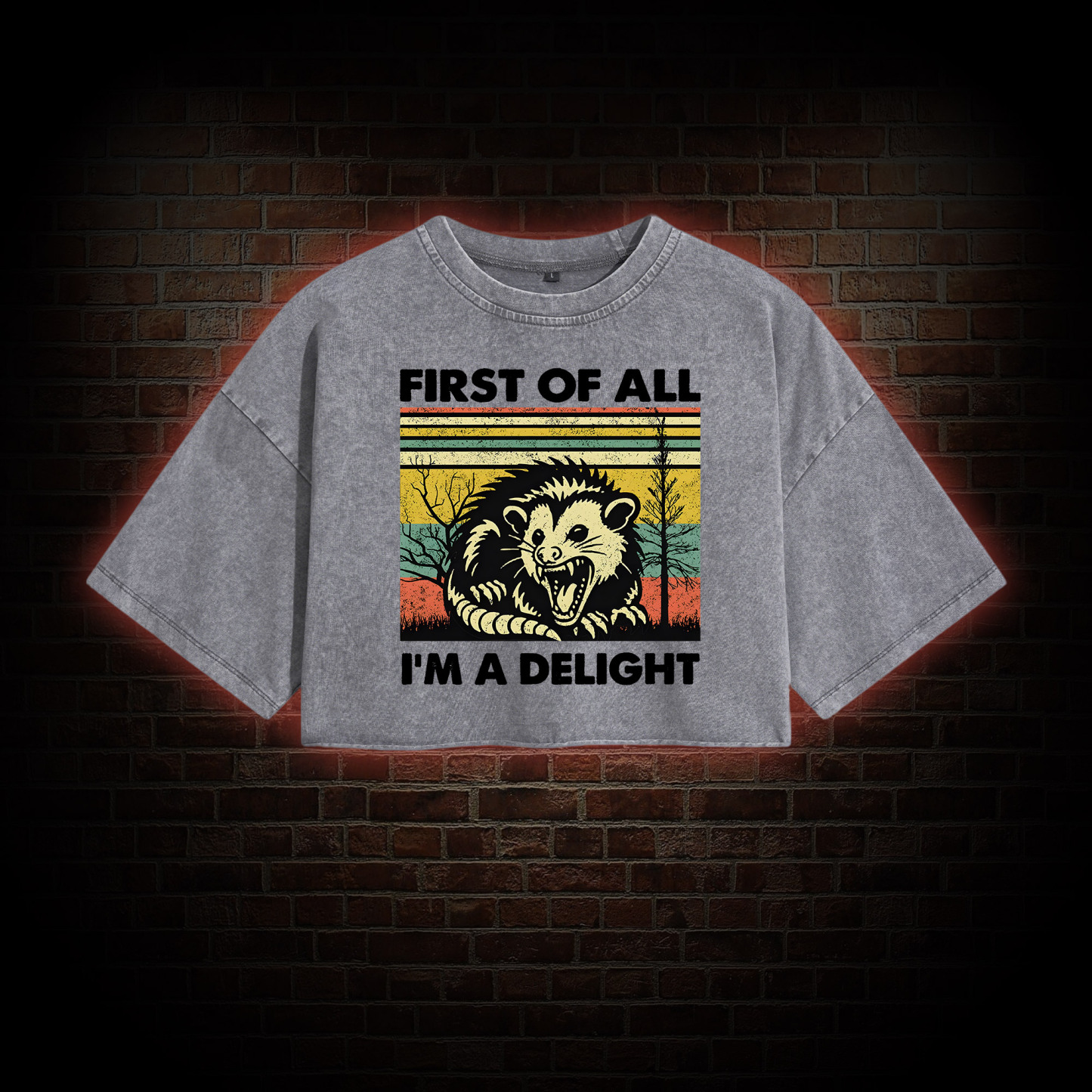 I'm A Delight Washed Cropped T-shirts