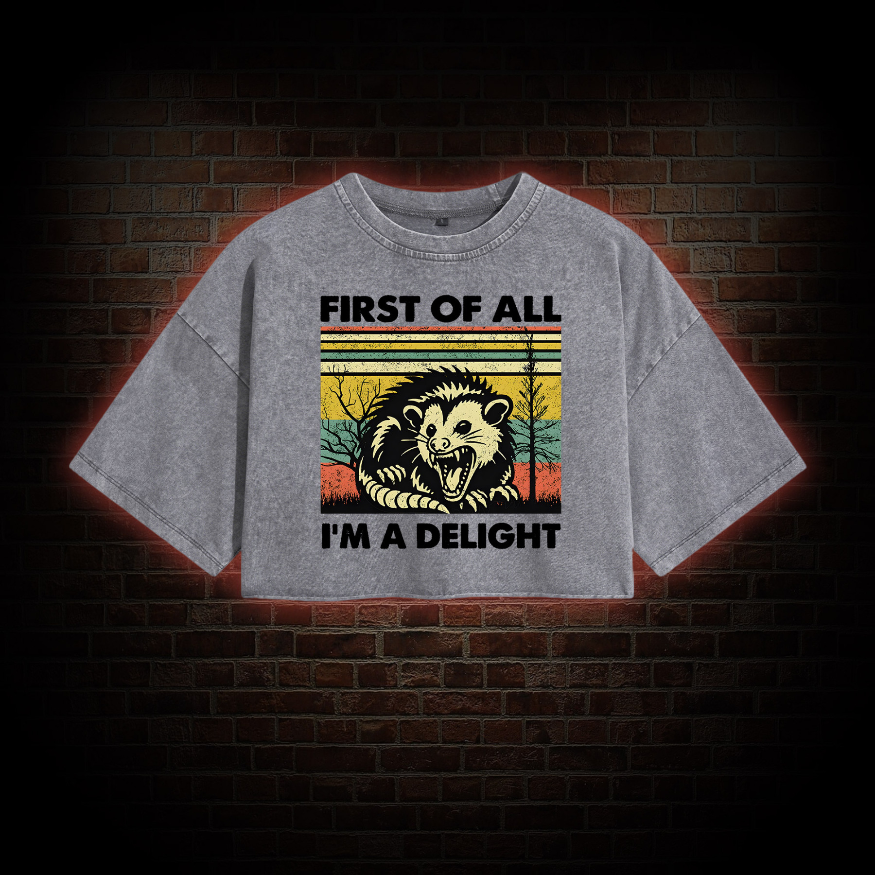 I'm A Delight Washed Cropped T-shirts