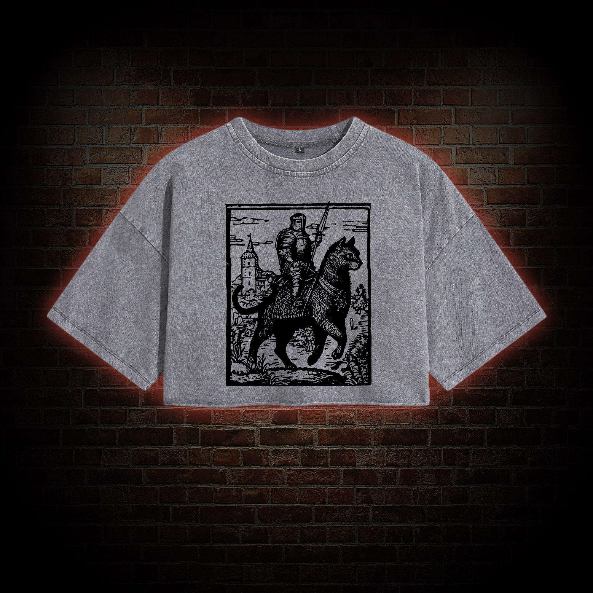 Knight Cat Rider Washed Cropped T-shirts