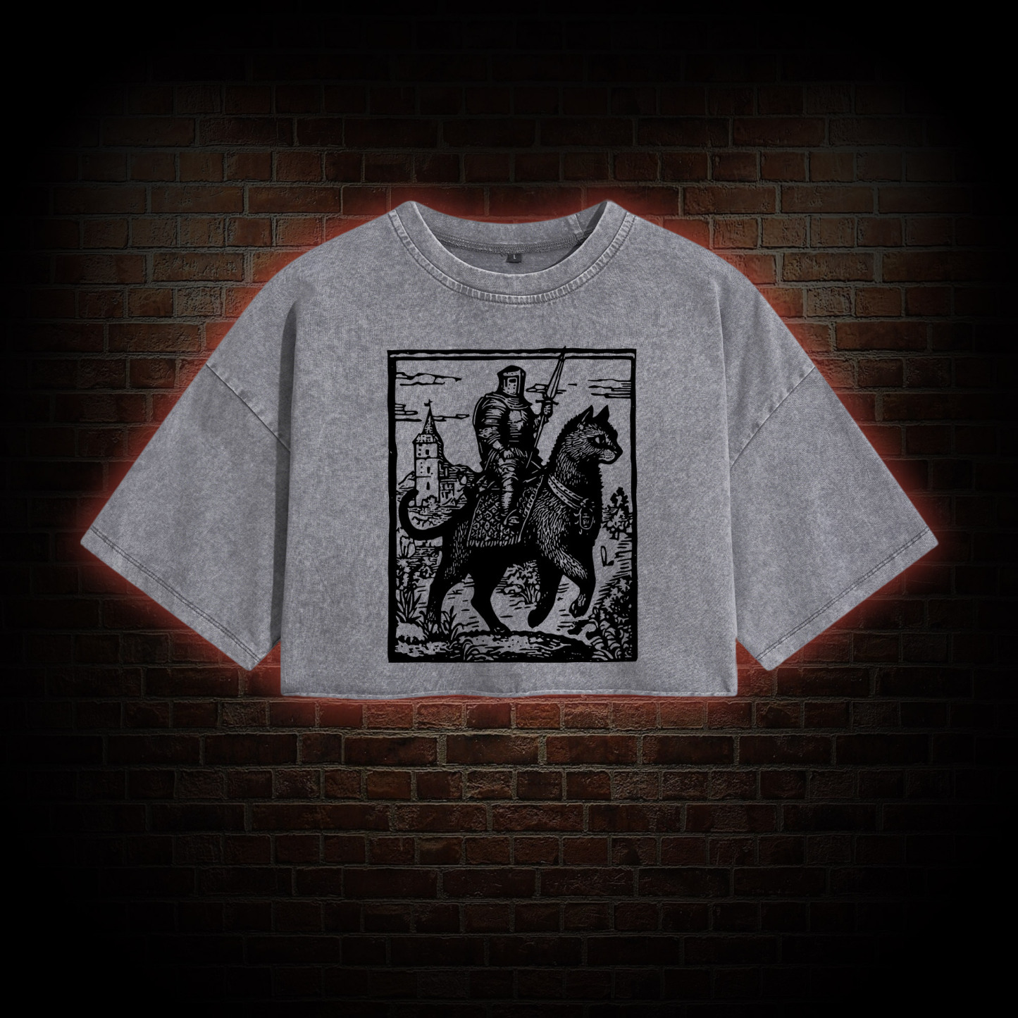 Knight Cat Rider Washed Cropped T-shirts