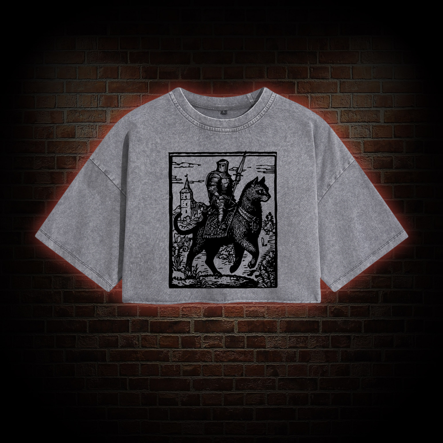 Knight Cat Rider Washed Cropped T-shirts