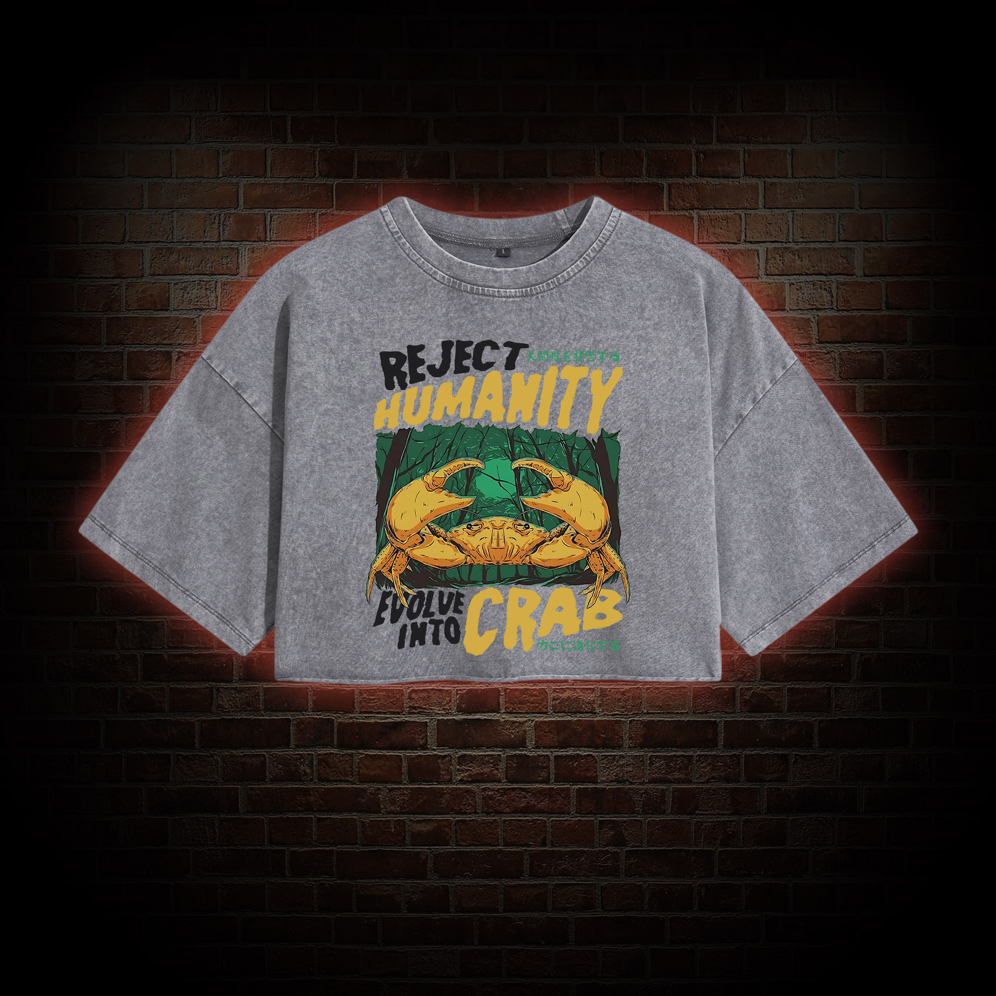 Reject Humanity Crab Washed Cropped T-shirts