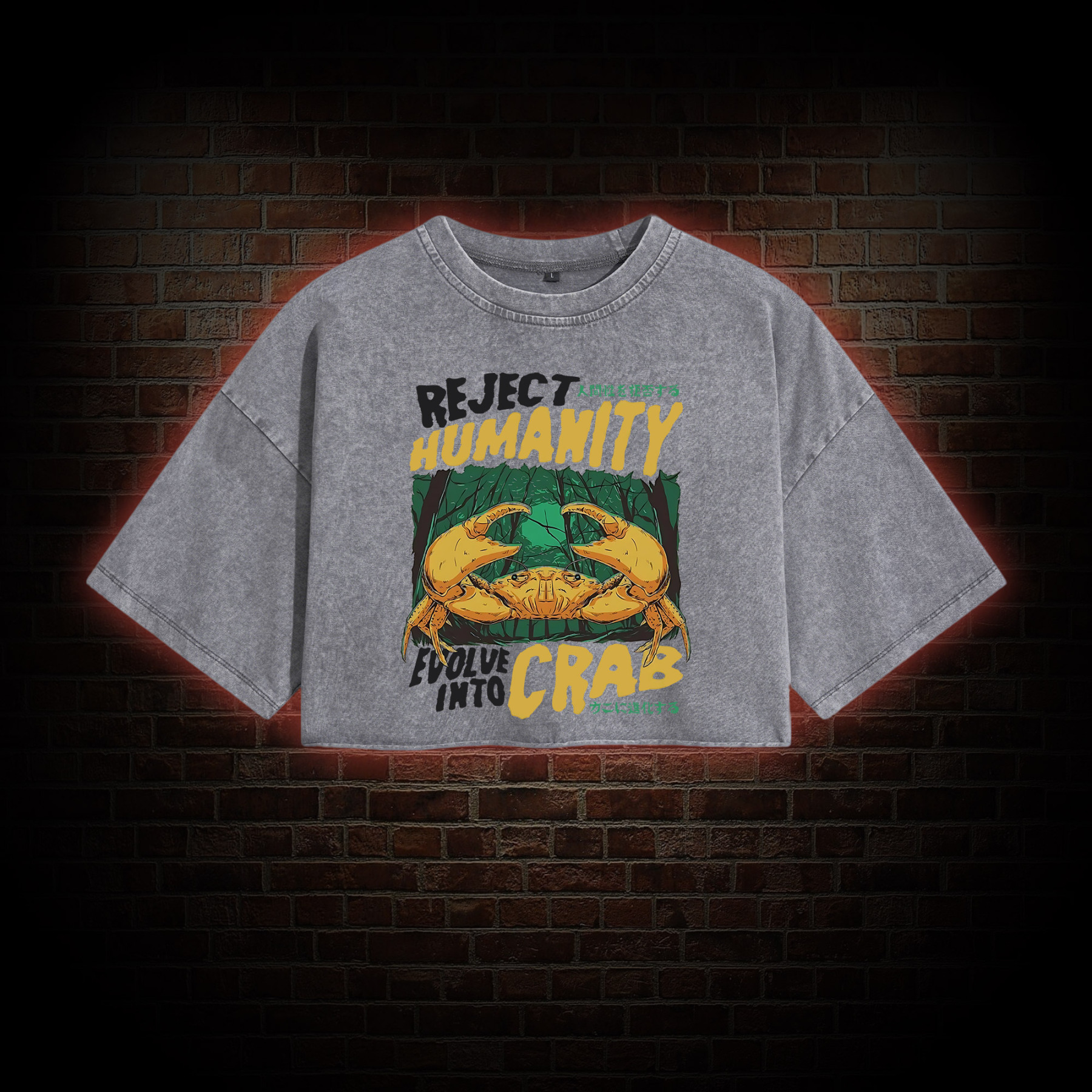 Reject Humanity Crab Washed Cropped T-shirts