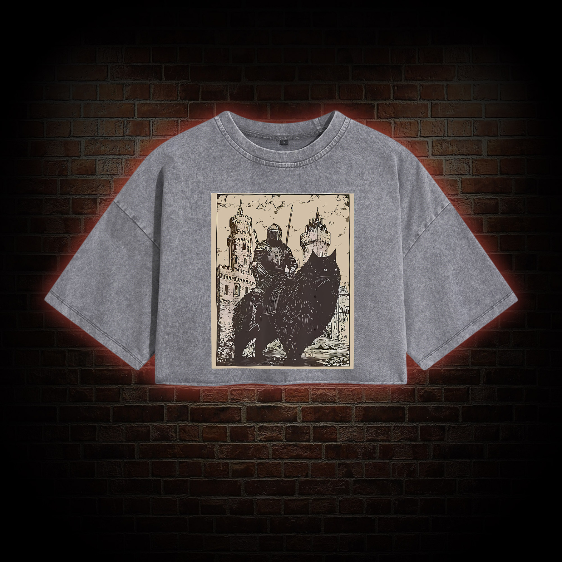 Knight Cat Rider Vintage Washed Cropped T-shirts