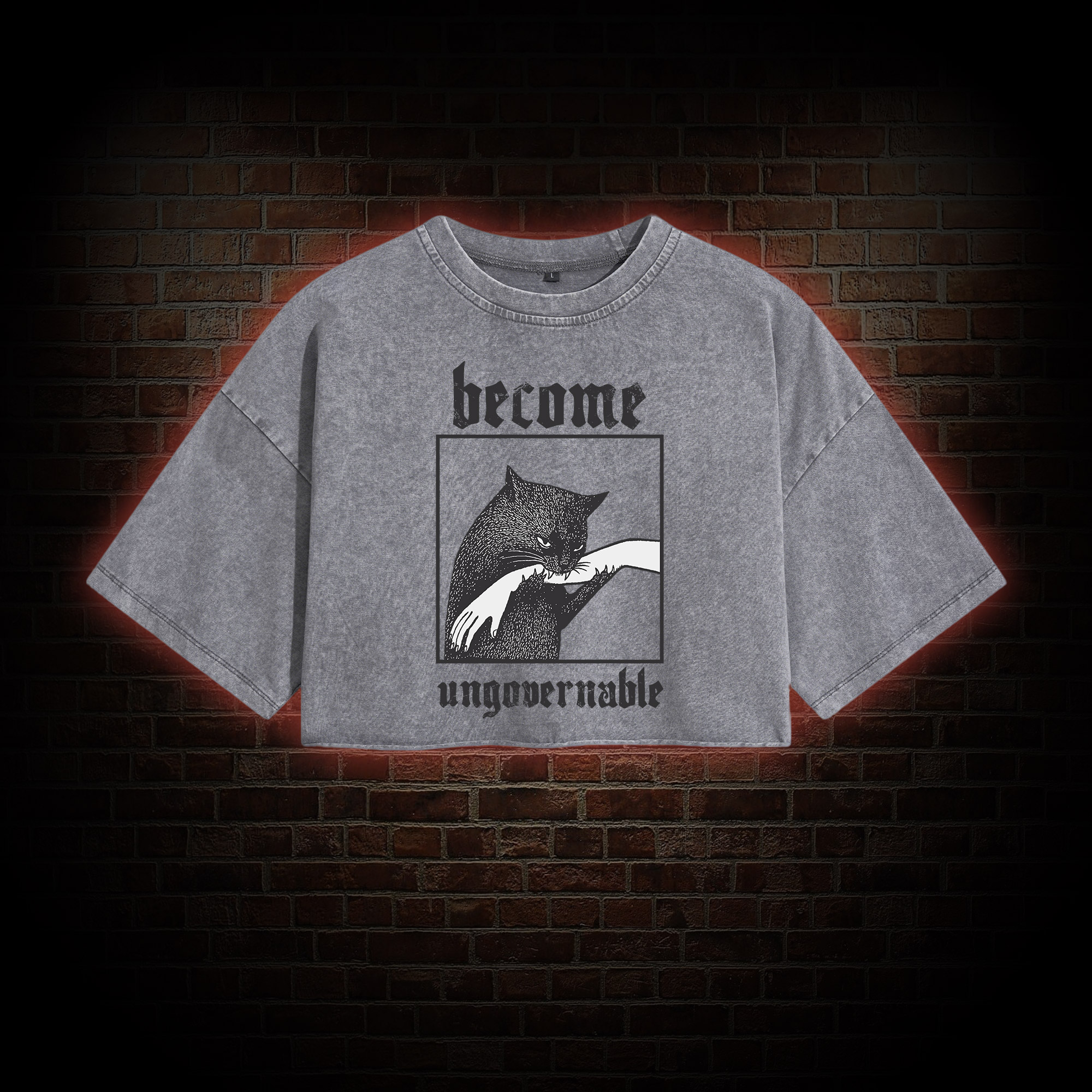 Silly Cats Washed Cropped T-shirts