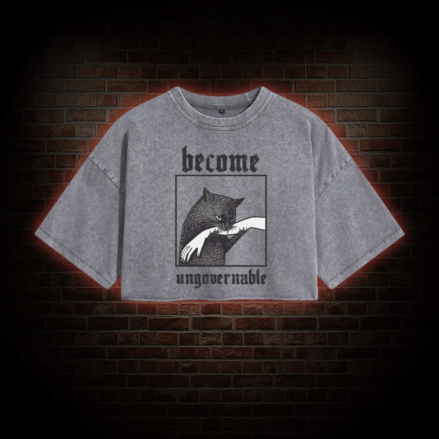 Silly Cats Washed Cropped T-shirts