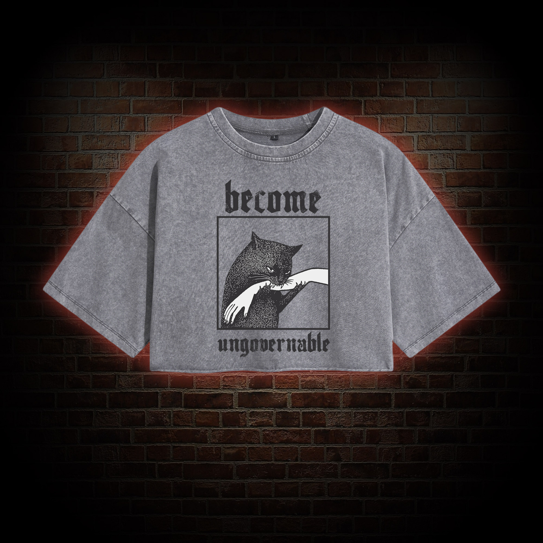 Silly Cats Washed Cropped T-shirts