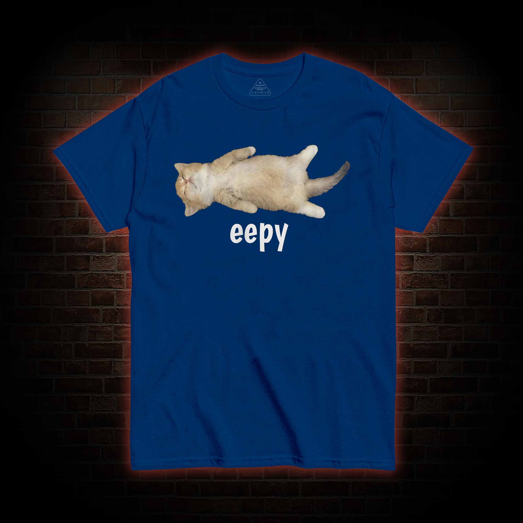 Silly Sleepy Cat T-shirt