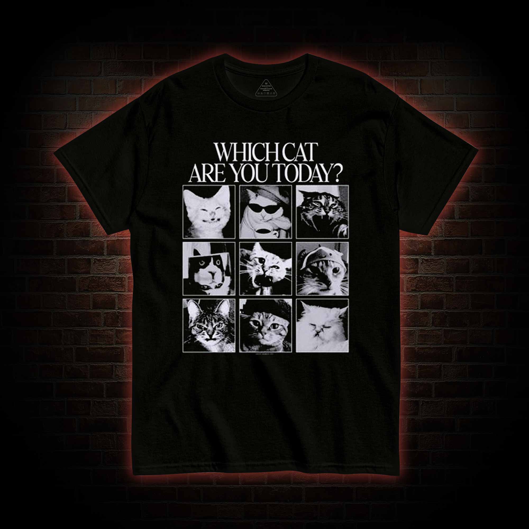 Which Cat are You Today T-shirt