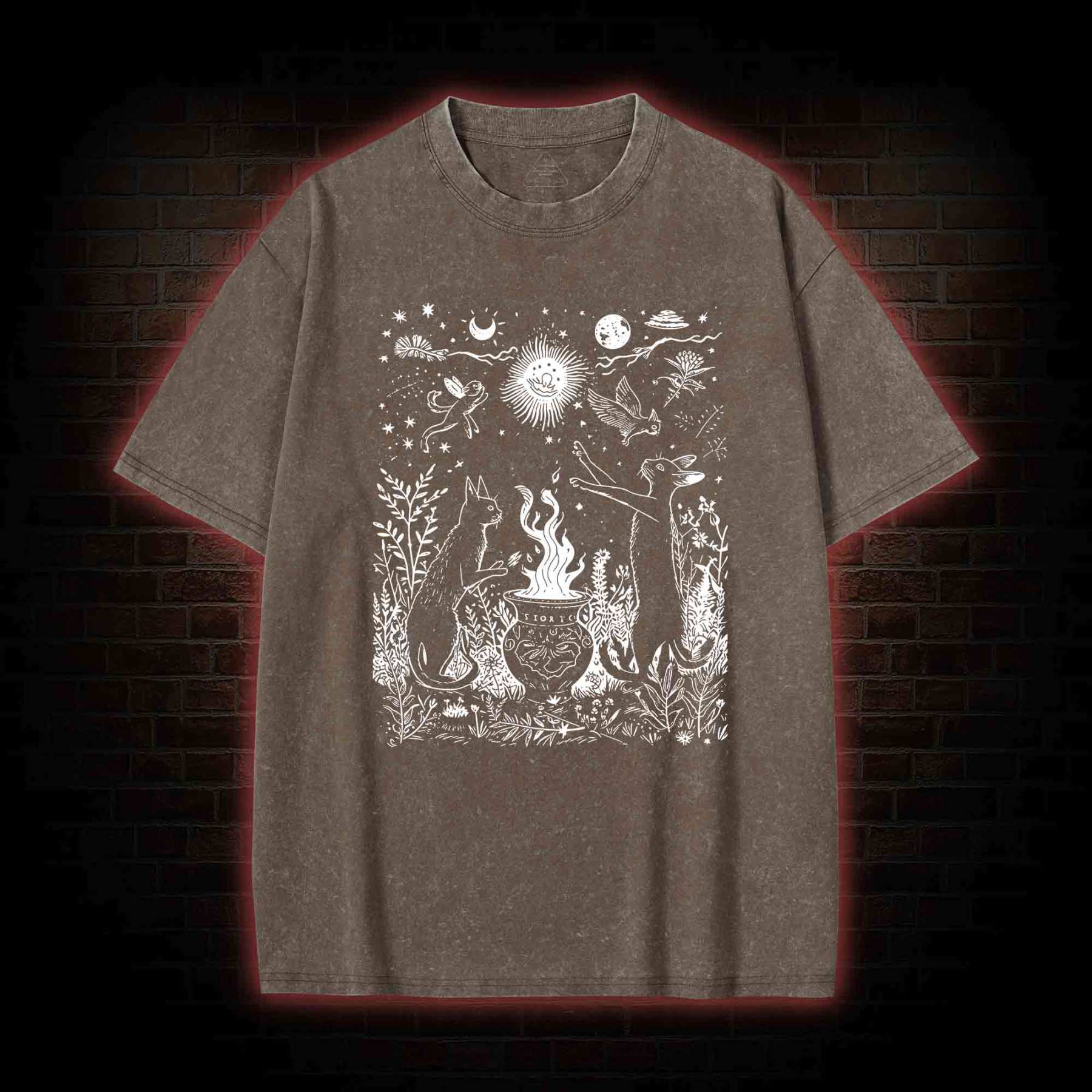 Celestial Cat Washed T-shirt