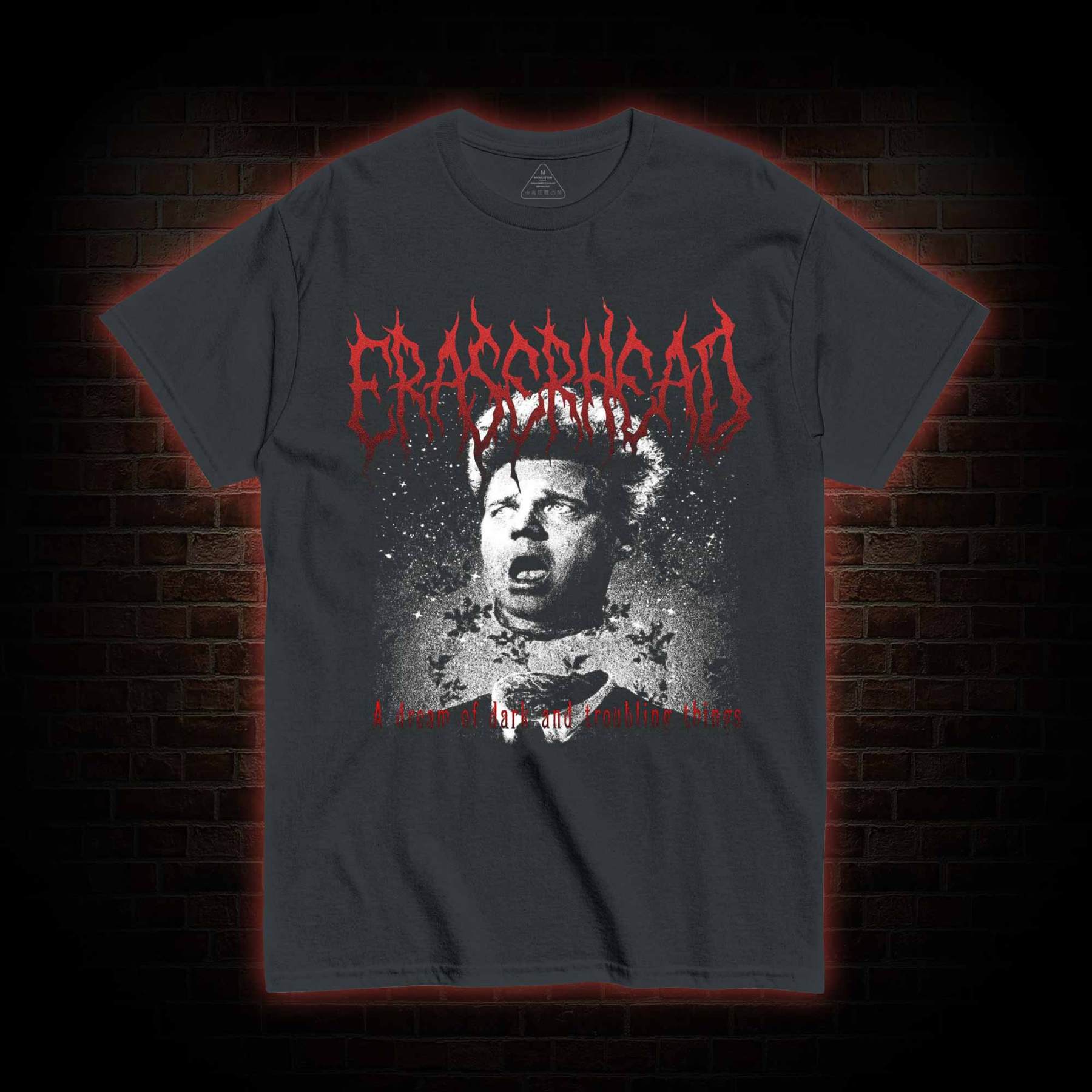 I am in the Dream T-shirt