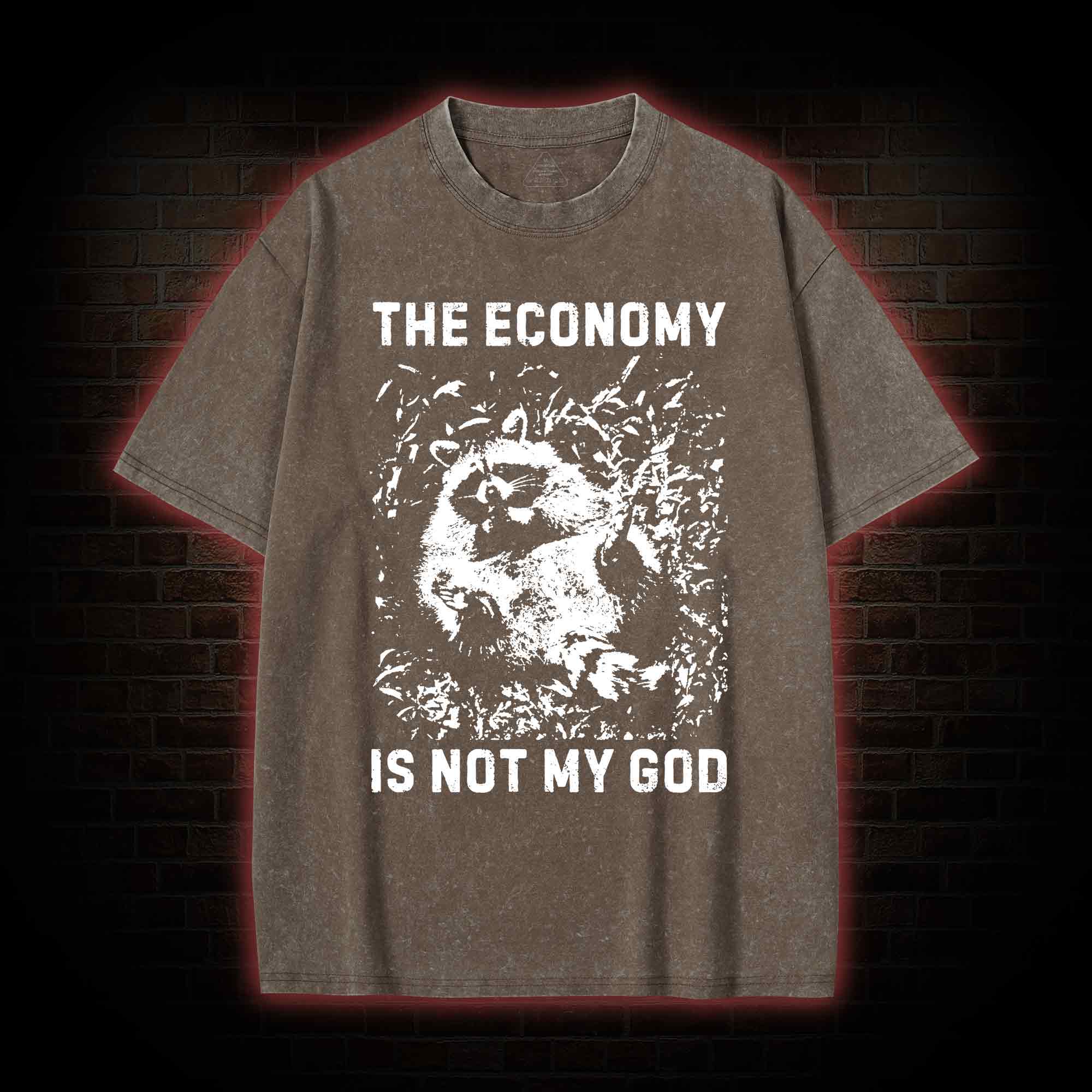 Anarchist Raccoon Economy is Not My God Washed T-shirt