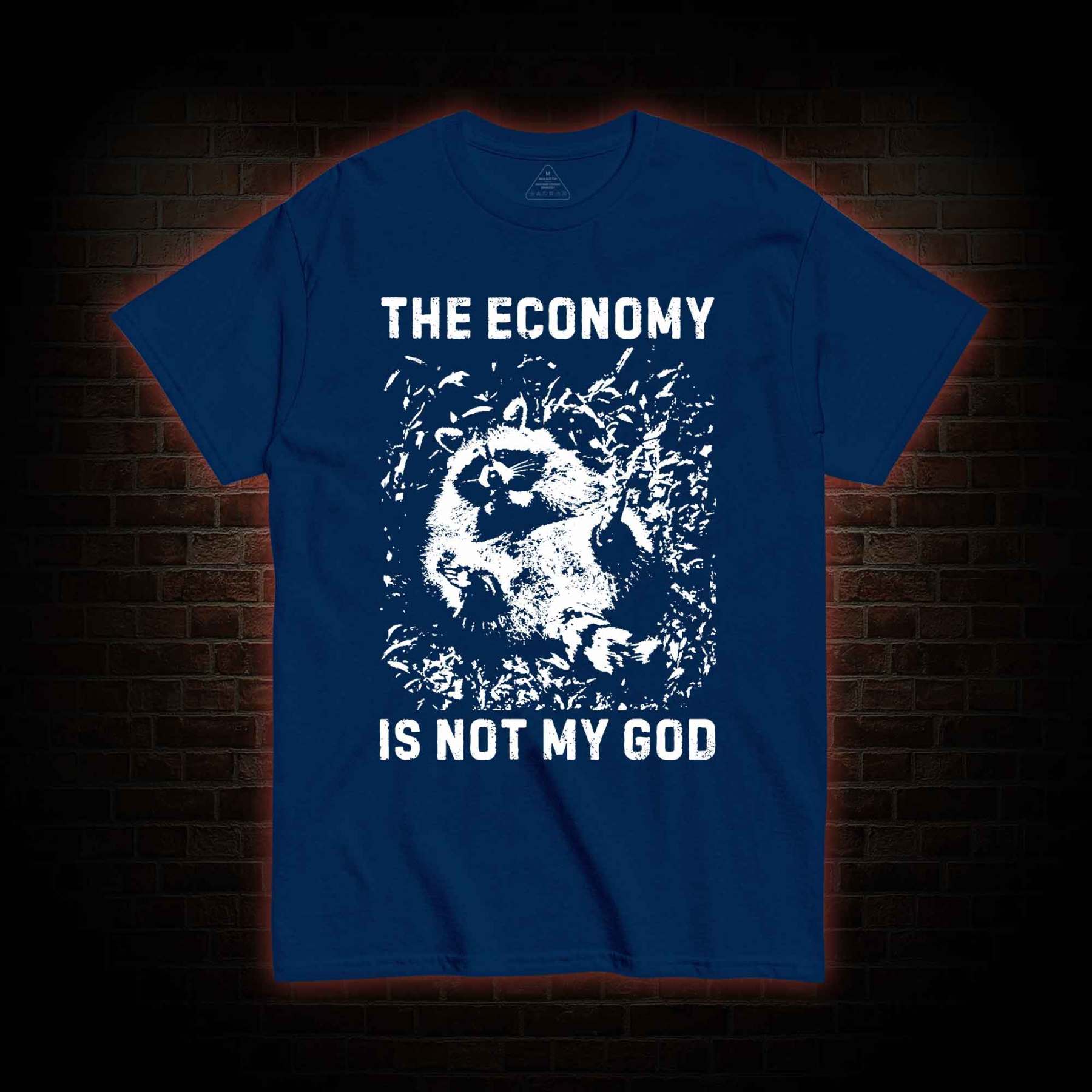 Anarchist Raccoon Economy is Not My God T-shirt