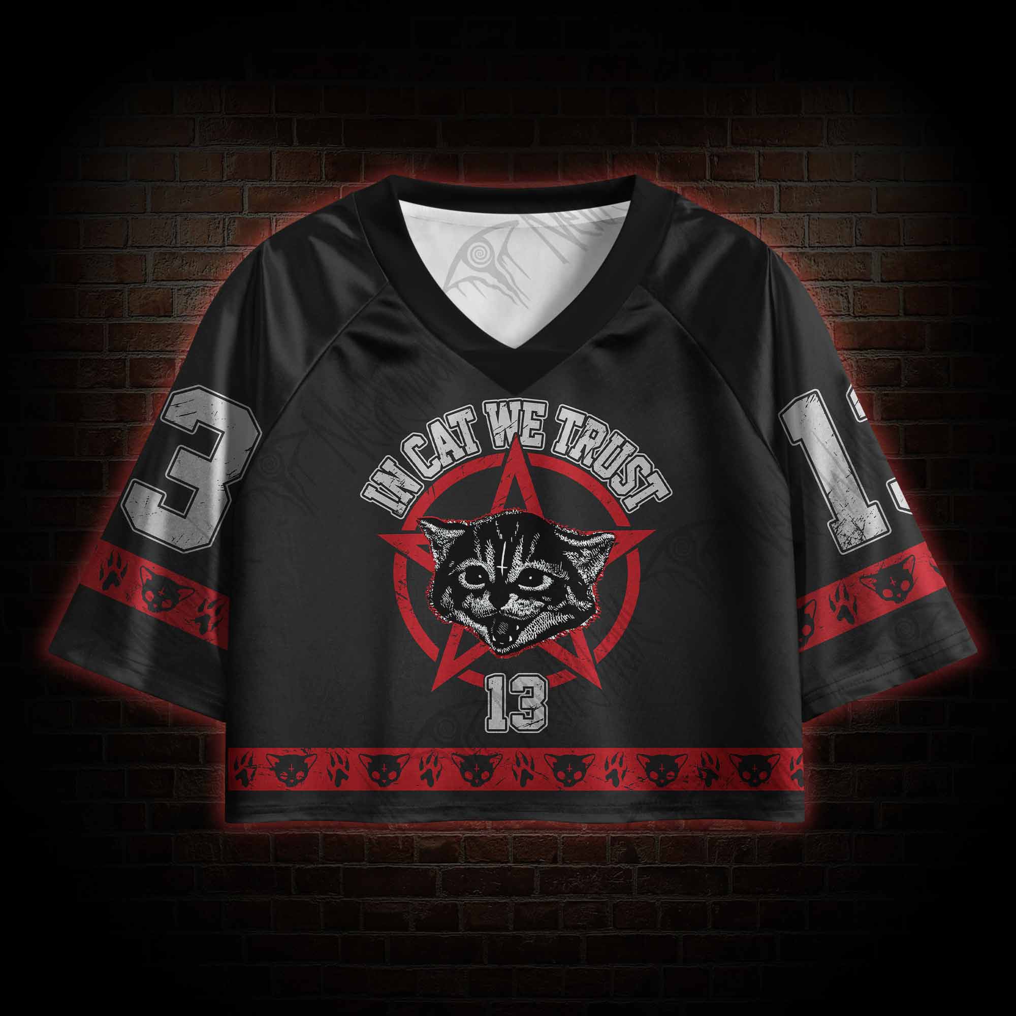 Lucipurr Sports Crop Jersey